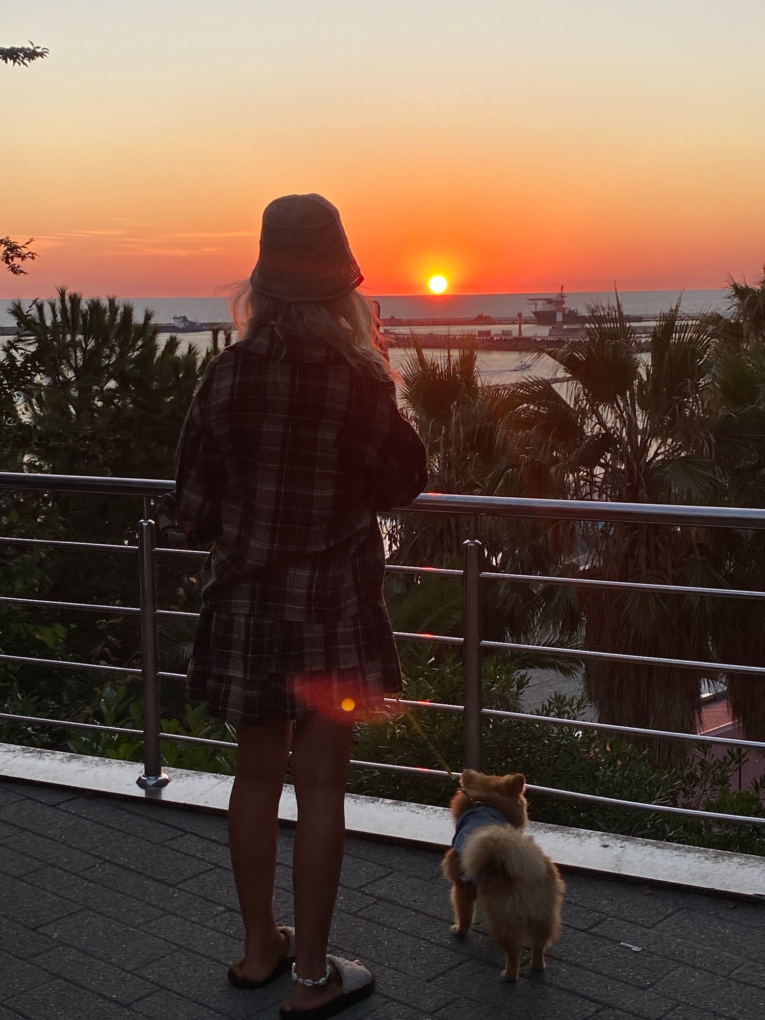 The image depicts a sunset over the Black Sea, viewed from a balcony or promenade in Sochi, Russia. A person, seen from behind, is wearing a plaid shirt and skirt and a bucket hat. A small, fluffy dog, wearing a blue vest, stands next to them, also facing the sea. In the background, the sun is setting on the horizon, casting an orange glow across the sky and water. There are palm trees and other greenery in the foreground and mid-ground. Several boats and structures are visible in the harbor. The ground is paved with dark gray interlocking pavers. The railing in the foreground is made of metal. The lighting suggests it is late afternoon or early evening.