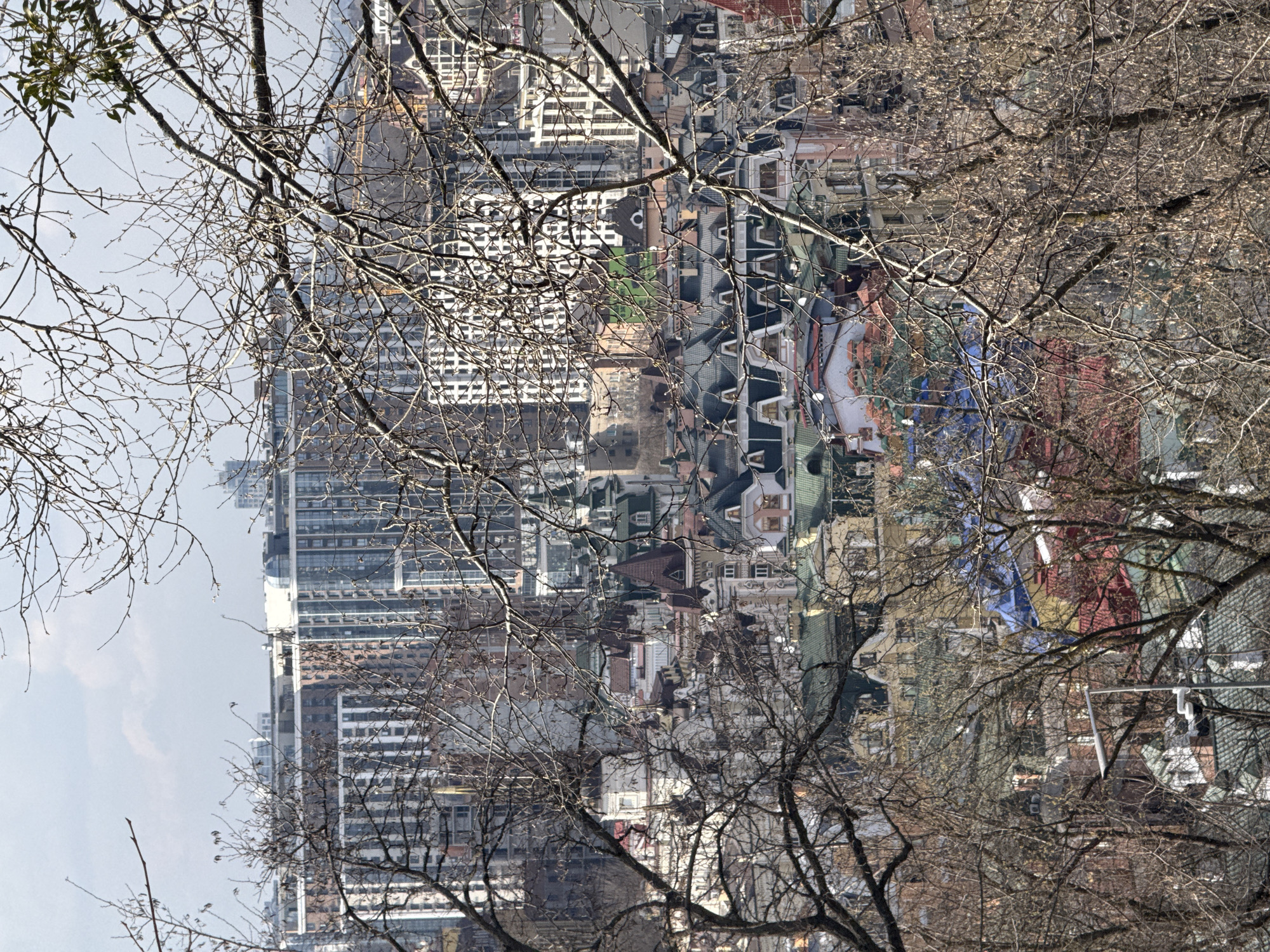 The image displays an urban landscape in Kyiv, Ukraine, viewed from an elevated position, looking towards the Vozdvyzhenka neighborhood in the Podil district with modern high-rise buildings in the background. The foreground is characterized by a dense, intricate network of bare, leafless tree branches, partially obscuring the view of the city.
In the midground, numerous multi-story buildings, consistent with the architectural style of Vozdvyzhenka, are visible. These structures feature varied facades in white, cream, pale yellow, and other muted tones. Distinctive elements include steeply pitched roofs in dark grey, green, blue, and reddish-brown, often adorned with dormer windows, spires, and turrets.
The background consists of a dense concentration of modern high-rise buildings, predominantly constructed from glass and concrete. These towers present lighter facades, including white, light brown, and grey, with reflective glass surfaces. They extend horizontally across the skyline. The sky above is a light grey-blue, indicating an overcast or hazy atmospheric condition. No people or active interactions are discernible. The bare branches suggest the season is late autumn, winter, or early spring.