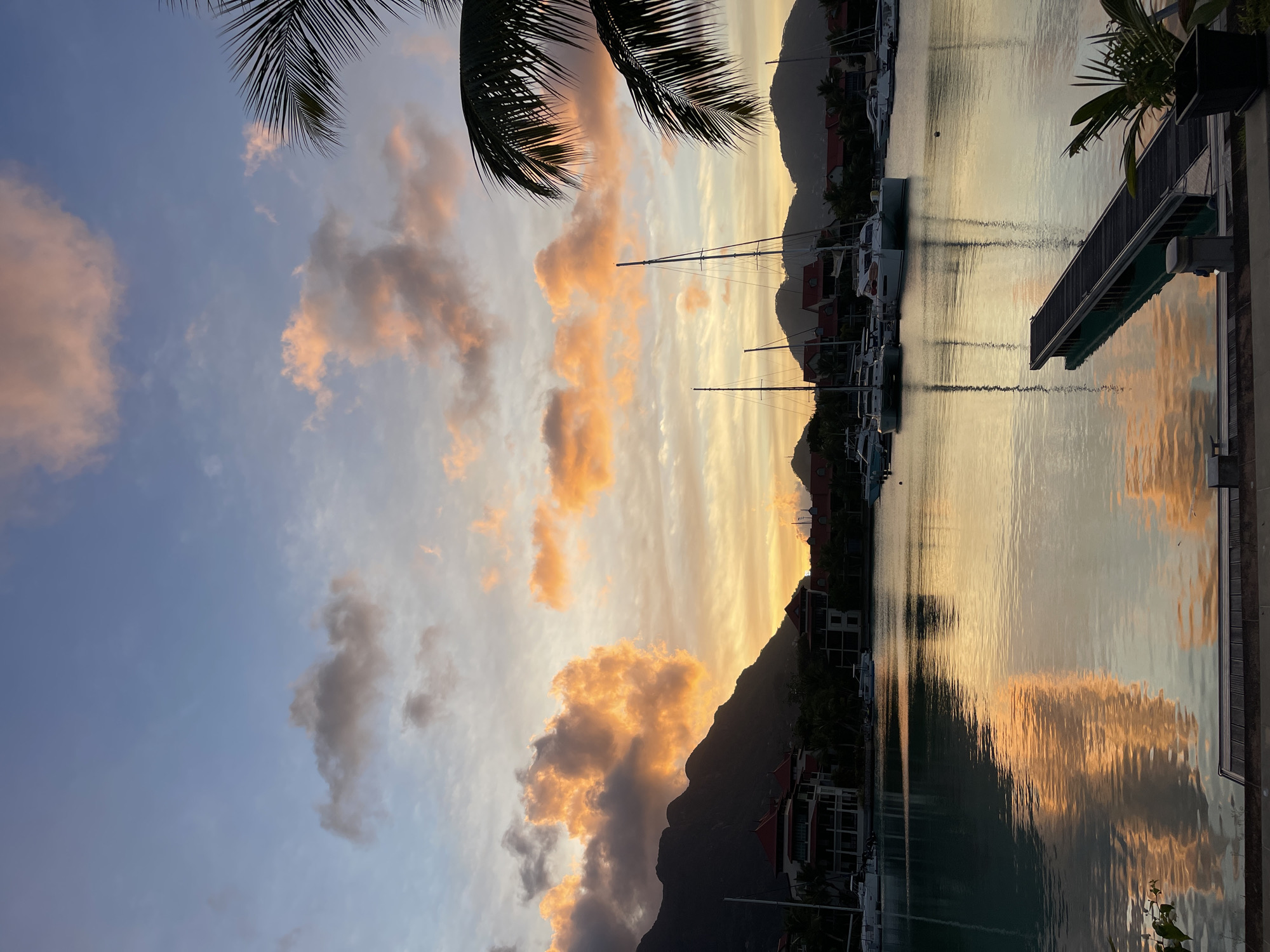 This image depicts a serene harbor scene in Providence, Seychelles, during a sunset. The sky is a gradient of soft blues and oranges, with clouds illuminated by the setting sun in shades of pink and gold. In the foreground, a calm body of water reflects the vibrant colors of the sky and the silhouettes of sailboats. A wooden jetty extends into the water from the right side of the frame. Along the water's edge, buildings with red-tiled roofs are visible, nestled against a backdrop of lush green hills and mountains. Several sailboats are moored in the harbor, their masts reaching towards the colorful sky. Palm fronds frame the top right corner of the image. The overall atmosphere is tranquil and picturesque.