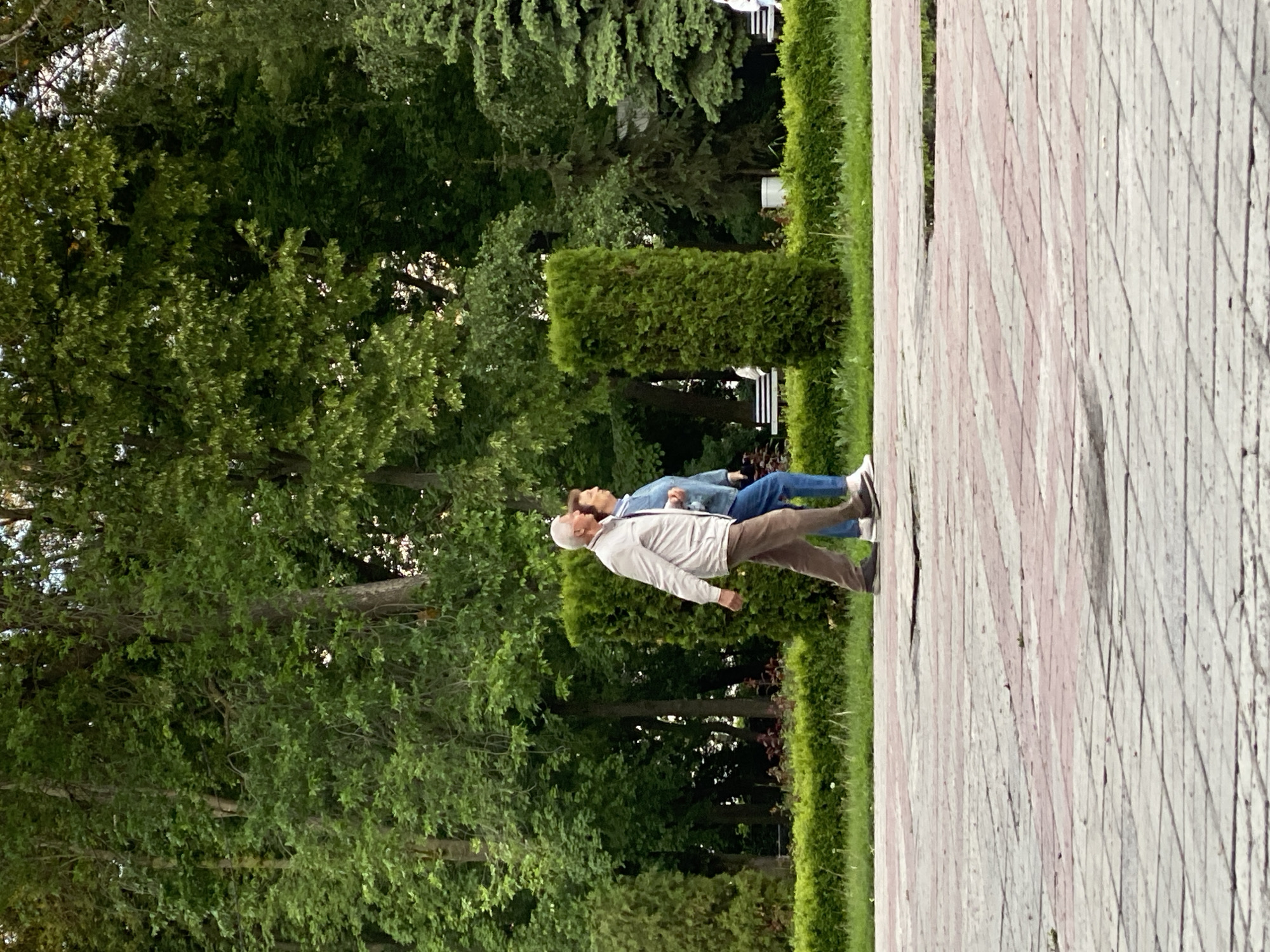 Two individuals, an older man and a younger woman, are captured mid-stride on a paved pathway in a park in Poltava, Ukraine. The man, with grey hair and wearing a light-colored long-sleeved shirt and brown trousers, walks beside the woman who is dressed in a denim jacket, blue jeans, and light sneakers. Both have their heads slightly tilted upwards, suggesting they might be looking at something in the distance or engaged in conversation.
The scene is dominated by lush green foliage. Dense, leafy trees form a verdant backdrop, creating a sense of natural tranquility. A well-maintained hedge runs parallel to the paved path, separating it from the deeper greenery. One section of the hedge is neatly trimmed into a rectangular topiary shape. Beyond the immediate path and hedges, glimpse of white park benches can be seen nestled among the trees.
The pathway itself is constructed from light-colored pavers, interspersed with sections of pink or reddish pavers arranged in a geometric pattern, possibly diagonal stripes or diamonds. Green grass lines the edge of the path adjacent to the hedge. The lighting suggests it is daytime, possibly late afternoon, with soft, diffused light filtering through the tree canopy. The overall atmosphere is calm and pleasant, suitable for a leisurely stroll. There is no visible text in the image.