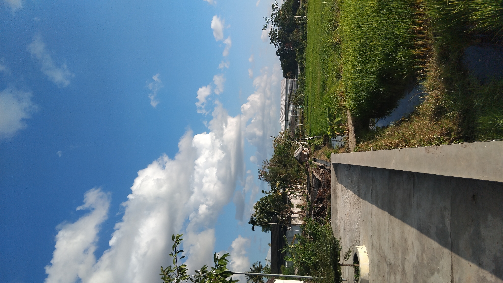 The image depicts an outdoor scene in the city of Ngaglik, Indonesia, under a clear blue sky with scattered white clouds. In the foreground, a concrete path runs diagonally across the frame, casting a long shadow. To the right of the path, a narrow water channel is bordered by lush green rice paddies. In the midground, there are various buildings, including a long, white-roofed structure with horizontal slats, surrounded by trees and vegetation. A small wooden shack is also visible near the water channel. The background is dominated by trees and the expanse of the sky. There are no people or animals visible in the image. The overall environment suggests a rural or semi-rural setting within Ngaglik.