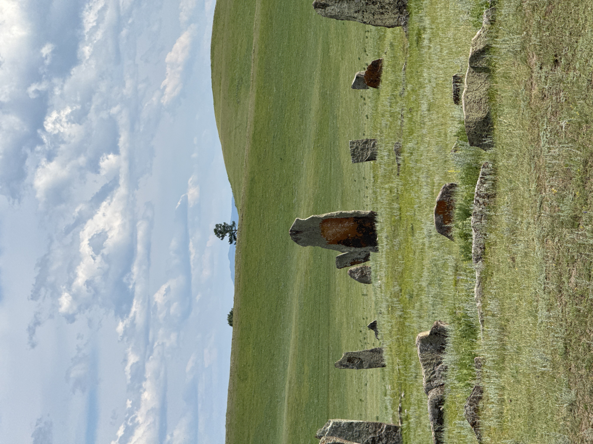 The image depicts an open, grassy field under a cloudy sky. Several upright stones, varying in size and shape, are scattered throughout the landscape. Some of these stones have reddish-brown markings. In the background, rolling green hills create a natural horizon, with a single tree visible on one of the distant slopes. The foreground shows more of these stones, some appearing to be lying on the ground, partially covered by grass. The environment is serene and appears to be a natural or historical site. This image is identified as being taken in the vicinity of Сафронов, Russia.