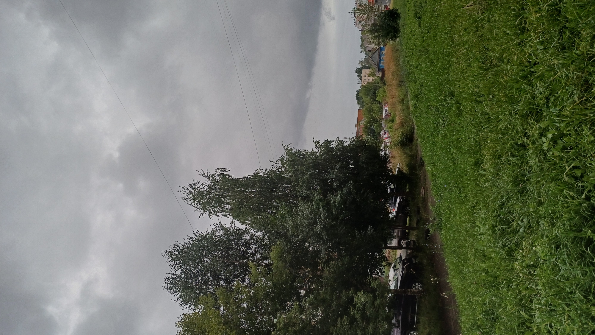The image depicts an overcast day in a residential area of Izhevsk, Russia, likely a courtyard or a street lined with parked cars. In the foreground, a patch of tall, green grass dominates the lower portion of the frame. To the left, several trees, including a large deciduous tree and a slender birch tree, provide shade. Beyond the trees, a row of parked cars is visible. In the middle ground, a mix of dry grass, bushes, and more trees can be seen. Further in the distance, several buildings of various sizes and architectural styles are present, including what appears to be a small blue house with white trim, and taller brick buildings. Utility wires stretch across the sky. The overall atmosphere is muted due to the heavy cloud cover. No people or animals are clearly visible in the image.