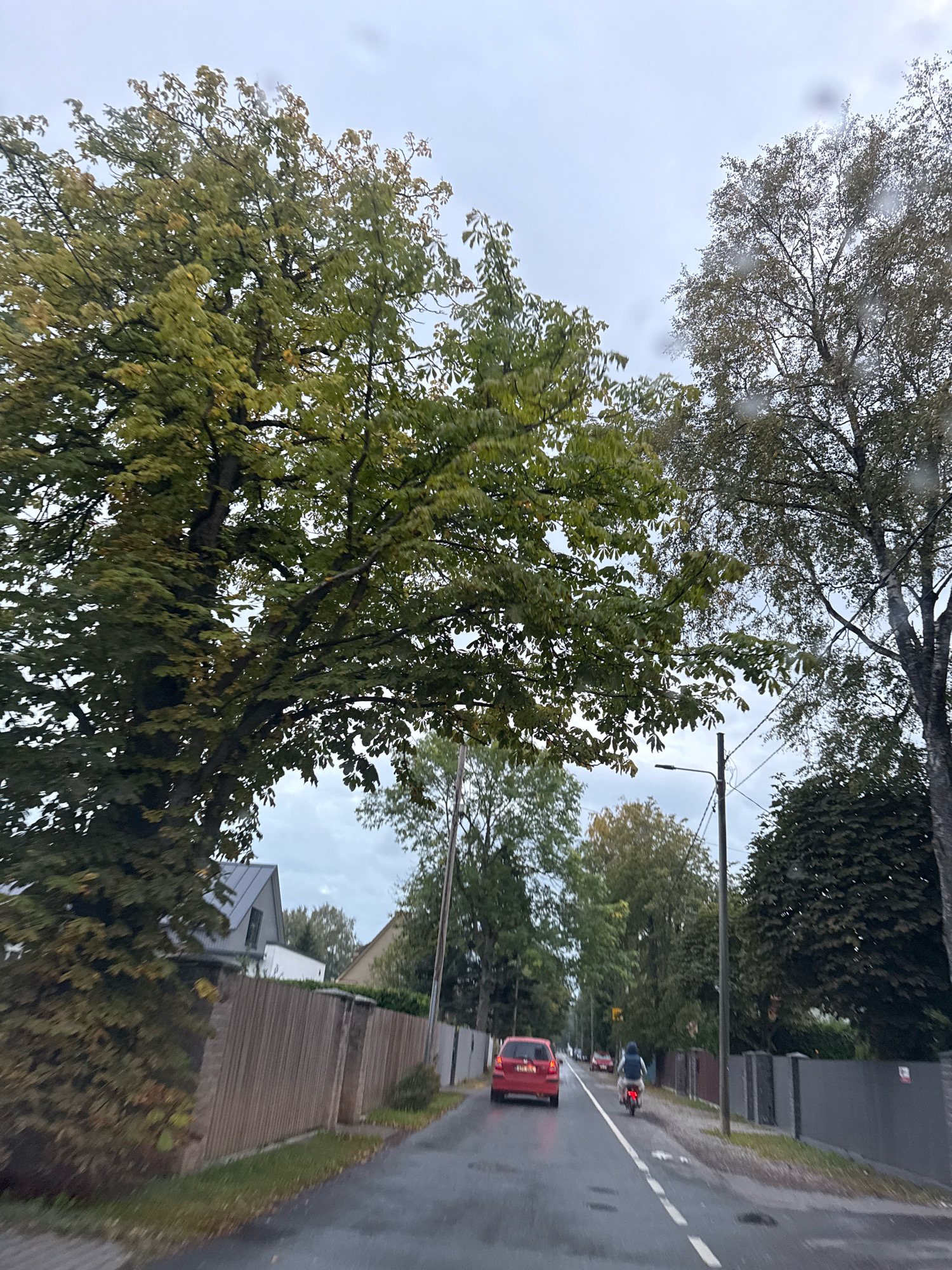 The image depicts a street scene in Tallinn, Estonia on an overcast day. A wet asphalt road, possibly due to recent rain, is visible with white lane markings. On the left side of the road, a light-colored wooden fence runs along the property line, with houses and trees behind it. A large tree with green and yellowing leaves is prominent in the foreground on the left.
On the road, a red hatchback car is driving away from the viewer, followed by a person on a scooter wearing a blue jacket and a backpack. The scooter is positioned in the right lane. Several other trees line the right side of the road, with some appearing to be in a park or residential area with fences and houses. A street light is visible on a pole on the right side of the road. The sky is cloudy and muted. The overall impression is a residential street during an autumn day with damp conditions.