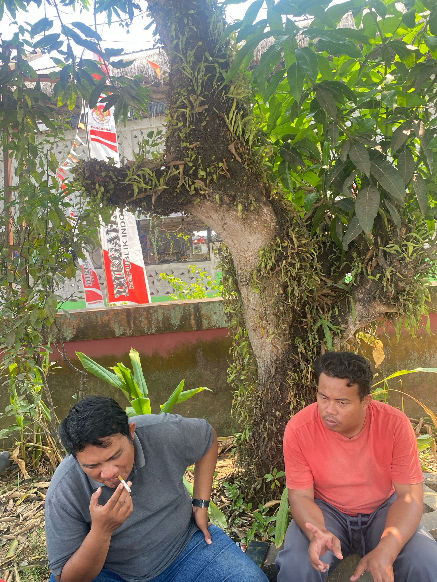 In a sun-drenched outdoor setting that appears to be located in Tanjung Redeb, Indonesia, two men are seated. The man on the left, wearing a gray polo shirt and blue jeans, is captured mid-action, smoking a cigarette. His gaze is directed downward, and his right hand is raised to his mouth, holding the cigarette. He has a black watch on his left wrist. Beside him, to the right, a man in an orange t-shirt and gray sweatpants sits with his hands resting in his lap. His head is turned to the left, and his expression is contemplative.
Behind the men, a large tree with visible moss and epiphytes dominates the scene. The tree's trunk is thick and textured, and its branches are laden with lush green leaves. In the background, partially obscured by foliage, are two banners, one featuring the word "PANCASILA" and the other "DIRGAHAYU REPUBLIK INDONESIA," suggesting a celebration or national event. A thatched roof structure is also visible behind the banners. The ground is covered with dry leaves and some vegetation, with a low wall or embankment running horizontally behind the men. The lighting indicates it is daytime, with sunlight casting distinct shadows and highlights.