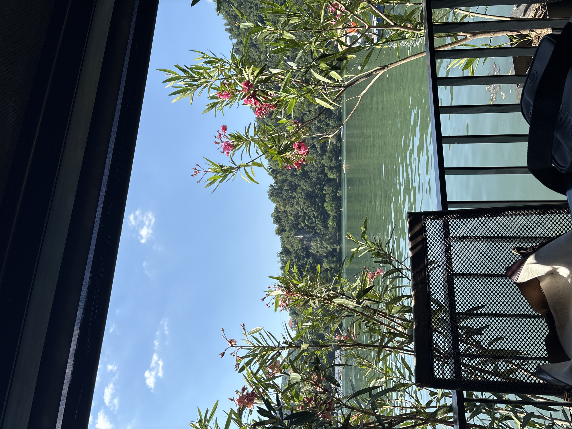 The image depicts a serene lakeside view from a covered outdoor seating area. In the foreground, a black metal chair with a textured seat is positioned near a black metal railing. A cream-colored bag with brown accents rests on the chair. Flowering plants with pink blossoms and green leaves are in bloom, framing the view.
Beyond the railing, a calm, green body of water stretches out, reflecting the clear blue sky dotted with white clouds. In the middle ground, a lush, tree-covered hillside rises steeply from the water's edge. A few small boats are visible on the lake. In the distance, a red-roofed building can be seen nestled on the hillside.
The scene is set in Divic, Bosnia and Herzegovina, suggesting a location with natural beauty and recreational opportunities. The overall atmosphere is peaceful and inviting, characteristic of a lakeside resort or restaurant. The time of day appears to be daytime, with bright sunlight casting shadows.