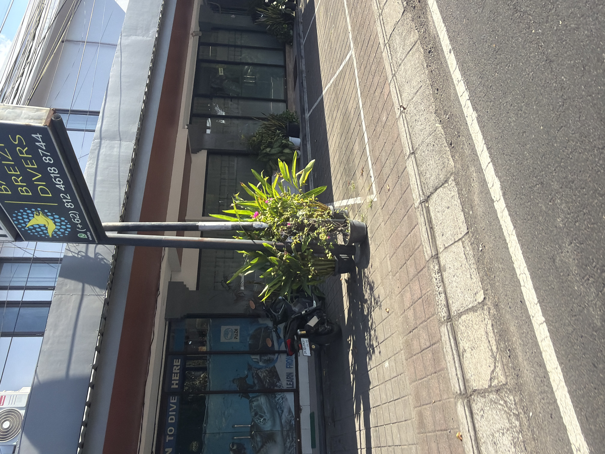 The image captures a street-level view of a building with large glass windows and a sign that reads "BALI BREIZH DIVERS" with a phone number. The building appears to be a commercial establishment, possibly a dive shop, located in Denpasar, Indonesia. In front of the building, there is a sidewalk made of interlocking pavers and a street. A black motorcycle is parked on the sidewalk. Several potted plants are arranged near the entrance of the building. The overall scene depicts a typical streetscape in an urban or semi-urban setting.