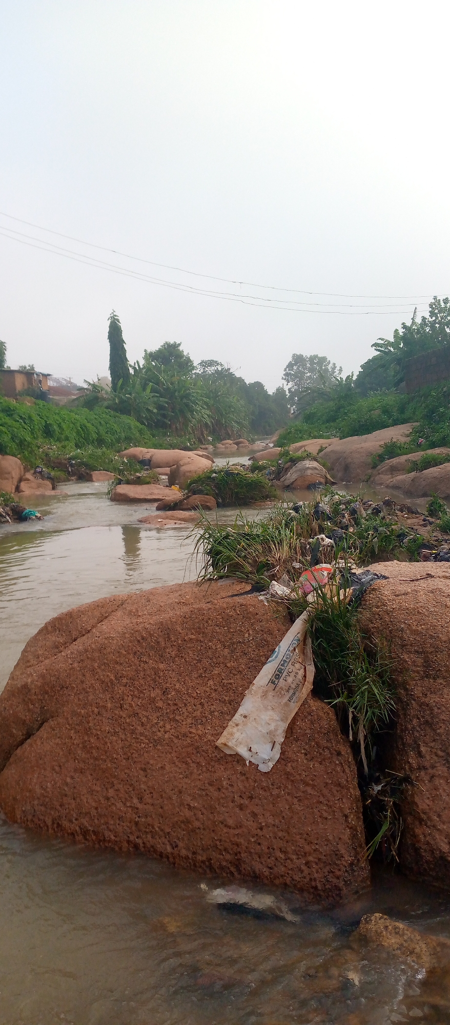 The image depicts a river flowing through a rocky, overgrown area, likely in a suburban or semi-rural setting. The water is murky and littered with debris, including plastic bags and other refuse, particularly on the banks and among the rocks. Lush green vegetation, including trees, bushes, and grasses, grows abundantly along the riverbanks, with some of the vegetation appearing somewhat wild and unkempt. Several large, reddish-brown rocks are scattered throughout the river and along its edges, some partially submerged. In the background, there are hints of human settlement, with buildings and a tall, slender tree visible on the left bank. Overhead, power lines are strung across the sky. The overall impression is one of a natural environment encroached upon by human activity and pollution.