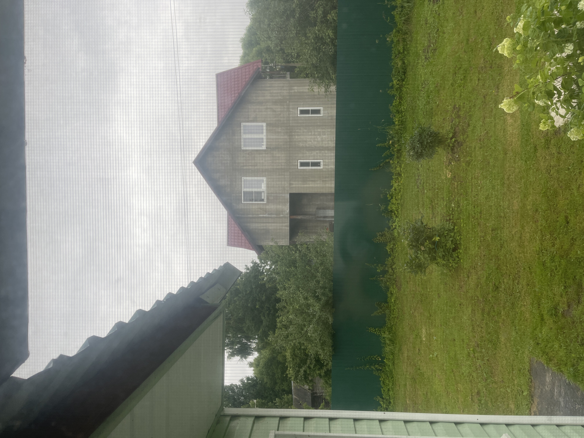 The image captures a view of a residential property in the city of Krasnoye, Russia, likely on a cloudy or overcast day. In the foreground, to the left, a portion of a light green building with a dark brown roof overhang is visible, suggesting the perspective is from inside a structure, possibly a house or shed, looking out through a screen.
The midground features a long, dark green fence stretching horizontally across the image, separating the immediate yard from the area beyond. The yard itself is covered in green grass with two small, rounded bushes planted in the lawn. In the background, behind the fence, stands a two-story house under construction or recently built, characterized by its light grey, unfinished facade and a red tiled roof. The house has several windows; two on the upper floor and two smaller, vertical windows on the lower floor. To the right of this house, a dense cluster of green trees and foliage forms a backdrop. Further to the left, behind the fence and amidst the trees, a smaller, older-looking wooden building is partially visible, hinting at the presence of additional structures on the property or neighboring ones. Power lines are faintly visible against the sky. In the bottom right corner, a portion of a white hydrangea bush with light green blossoms is in focus.
