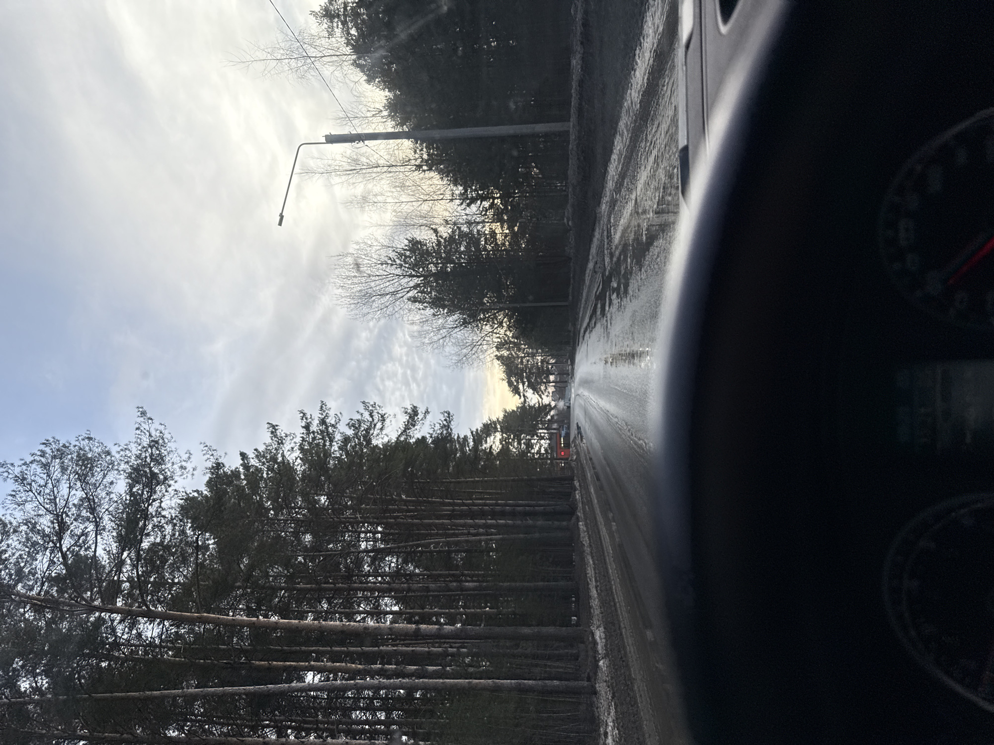 The image depicts a wet, two-lane asphalt road viewed from inside a vehicle, likely in Chaikovsky, Russia. The dark dashboard and the upper portion of a steering wheel are visible in the lower foreground. The road, showing reflective puddles and traces of dark slush or dirt, stretches forward and slightly curves to the right in the distance. On the left side of the road, a dense, tall pine forest runs parallel to the roadway, with patches of snow and slush at the tree bases. On the right, a mixed forest composed of bare deciduous trees and conifers borders the road. A tall, dark utility pole equipped with a single streetlight extends over the right side of the road, with wires visible. The sky is overcast with shades of light grey and white, transitioning to a warmer, yellowish-orange hue near the distant horizon, suggesting either sunrise or sunset. Faint red lights are discernable in the distance on the left side of the road. No individuals or other distinct vehicles are visible.