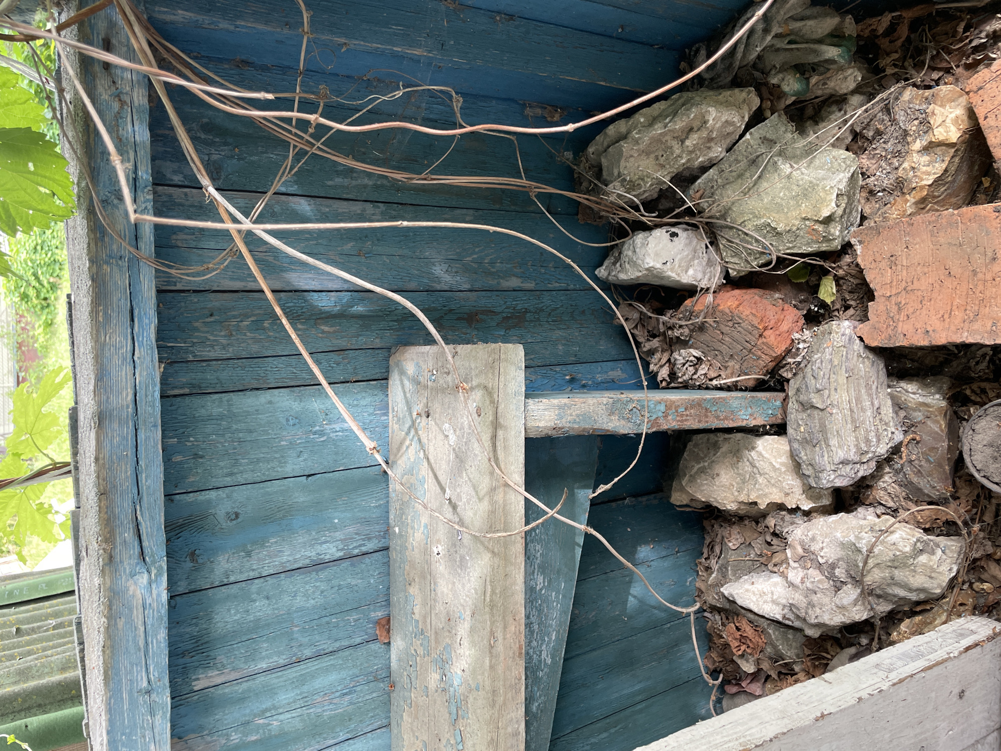 An outdoor scene is depicted in a vertical, eye-level shot. The background consists of weathered, blue wooden planks, some of which are peeling. A horizontal, light-colored wooden plank is attached to the blue planks, further showing signs of decay. Dry, thin vines hang down from above, crisscrossing the scene. The foreground is filled with a collection of rocks and broken bricks scattered amongst dry leaves and debris. The overall impression is one of neglect and disrepair.