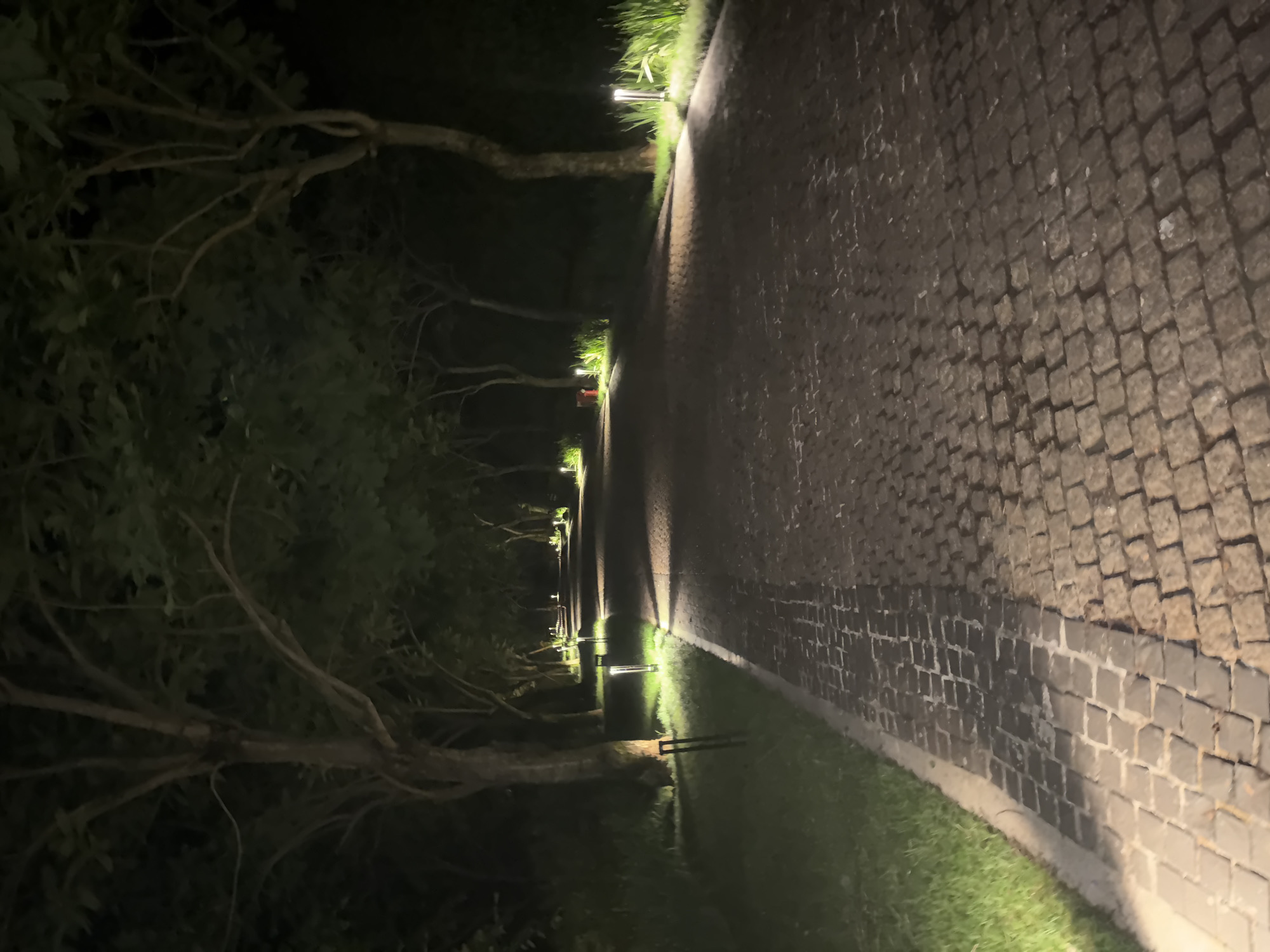 This nocturnal image, captured in Mu Cang Chai, Vietnam, depicts a winding outdoor pathway paved with dark, irregularly shaped cobblestones. The path recedes into the distance, appearing to curve subtly to the right. Both sides of the pathway are lined with mature trees, whose trunks and branches are visible, forming a natural archway or tunnel overhead. Numerous modern, vertical ground lights illuminate the edges of the path and the adjacent terrain. These lights emit a warm, yellowish-white glow, casting distinct shadows on the cobblestones and illuminating patches of vibrant green grass and foliage bordering the path. The environment is dark beyond the immediate illumination provided by the lights, emphasizing the artificial lighting along the route. No individuals, animals, or explicit actions are present in the scene.