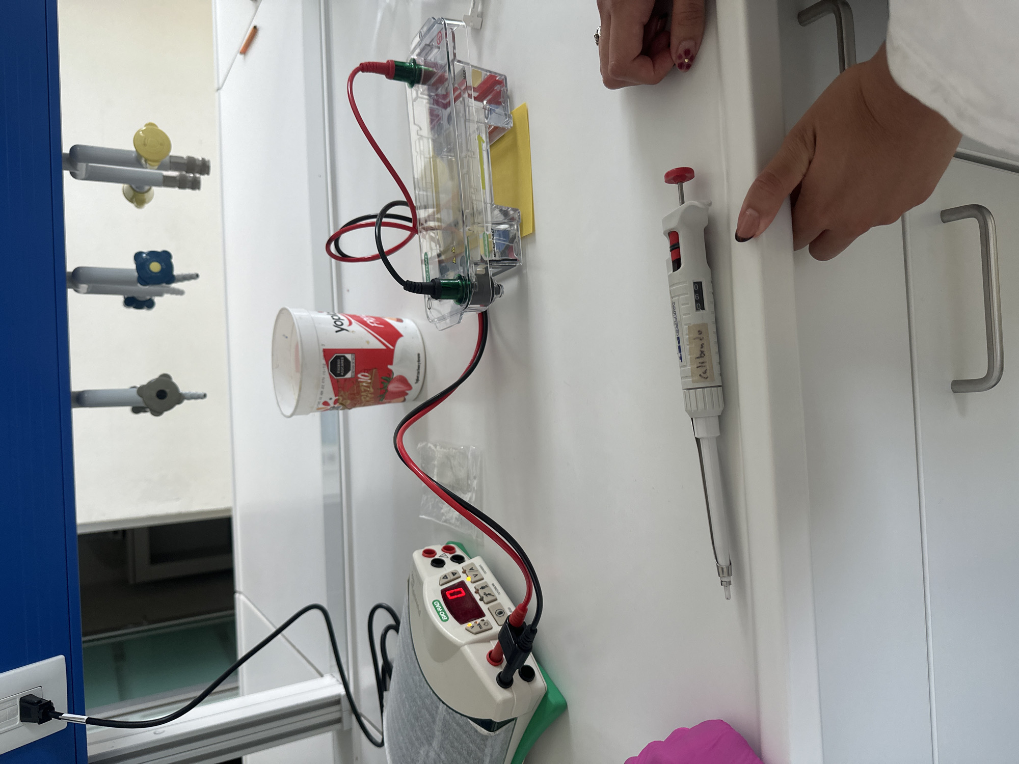 A laboratory setting displays equipment and materials used for scientific experiments. On a white surface, a gel electrophoresis apparatus is connected via red and black wires to a power supply, which reads "000." A yogurt cup is positioned between the gel apparatus and the power supply. A micropipette stands vertically next to the apparatus, with a hand pointing towards it. Faucets are visible on a blue cabinet on the left. The location appears to be an indoor laboratory setting, but the specific city and state are unknown.