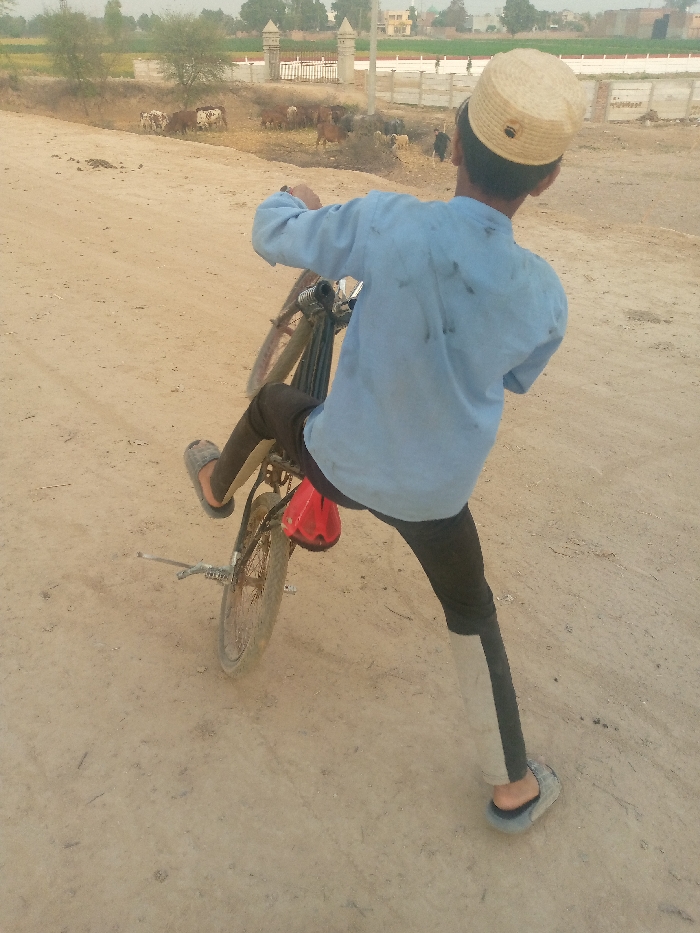Memory