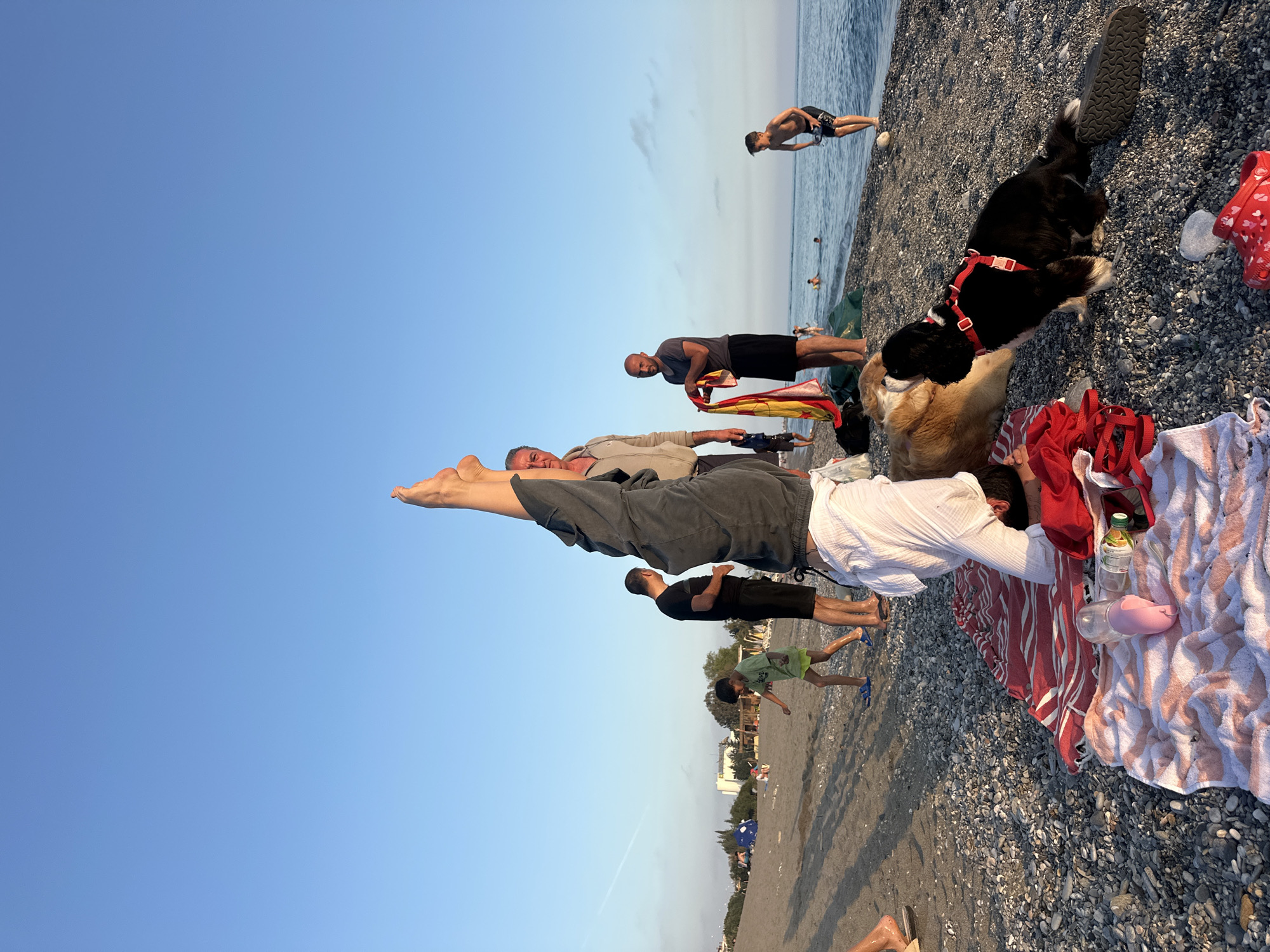 The image shows a pebble beach next to the ocean in Alanya, Turkey. Clear blue sky is visible above. In the foreground, a group of people are lying on the beach, with one man lying on top of another to form a human tower. A dog stands nearby on the pebbled beach. A boy is walking on the beach while another person is swimming in the ocean in the background. Towels, clothing, and a water bottle are scattered on the beach near the dog. A town is visible further in the background.