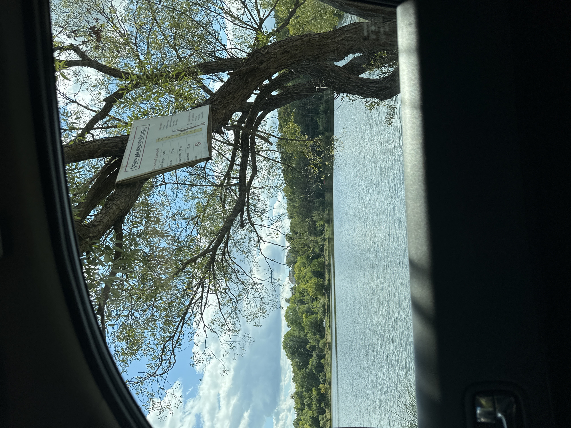 The image, captured from inside a vehicle in Makiv, Ukraine, shows a serene lakeside scene. A large tree with a weathered trunk dominates the foreground, its branches extending towards a calm body of water. A sign is affixed to the tree, displaying regulations related to fishing, including a list of fish species with their minimum permissible sizes in centimeters. The lake stretches out to the horizon, bordered by a dense green forest. The sky above is a mixture of blue and white clouds. A small white vehicle is visible parked near the treeline on the opposite side of the lake. The lower portion of the image is dominated by the interior of the car, with a dark dashboard and a portion of a car door visible.