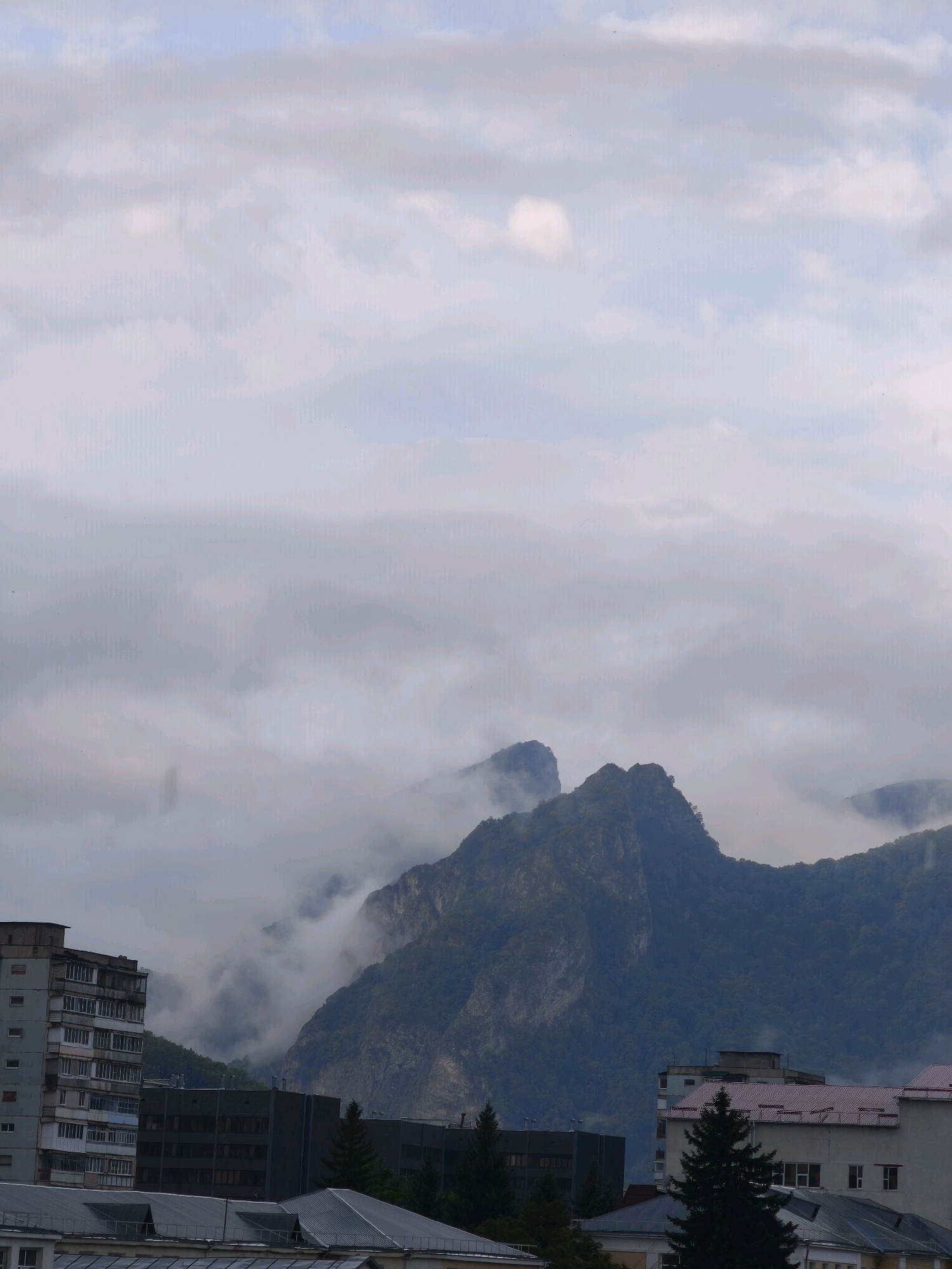 The image depicts a cityscape with mountainous terrain in the background, characteristic of Karachayevsk, Russia. In the foreground, several multi-story residential buildings are visible, constructed with concrete and featuring numerous windows. The buildings appear to be of Soviet-era architecture, with one prominent light-colored building on the left displaying balconies. Adjacent to these residential structures are commercial or public buildings, including one with a dark facade and another with a light facade and a red-tiled roof. Evergreen trees are interspersed among the buildings, adding a touch of nature to the urban landscape. The background is dominated by lush green mountains, partially obscured by a layer of soft, white clouds or fog that clings to the slopes. The sky above is overcast with a pale, diffused light, suggesting a cloudy or misty day. There are no people or animals visible in the frame, and the scene is static, conveying a sense of quietude. The overall impression is one of a settled urban environment nestled within a dramatic natural setting.
