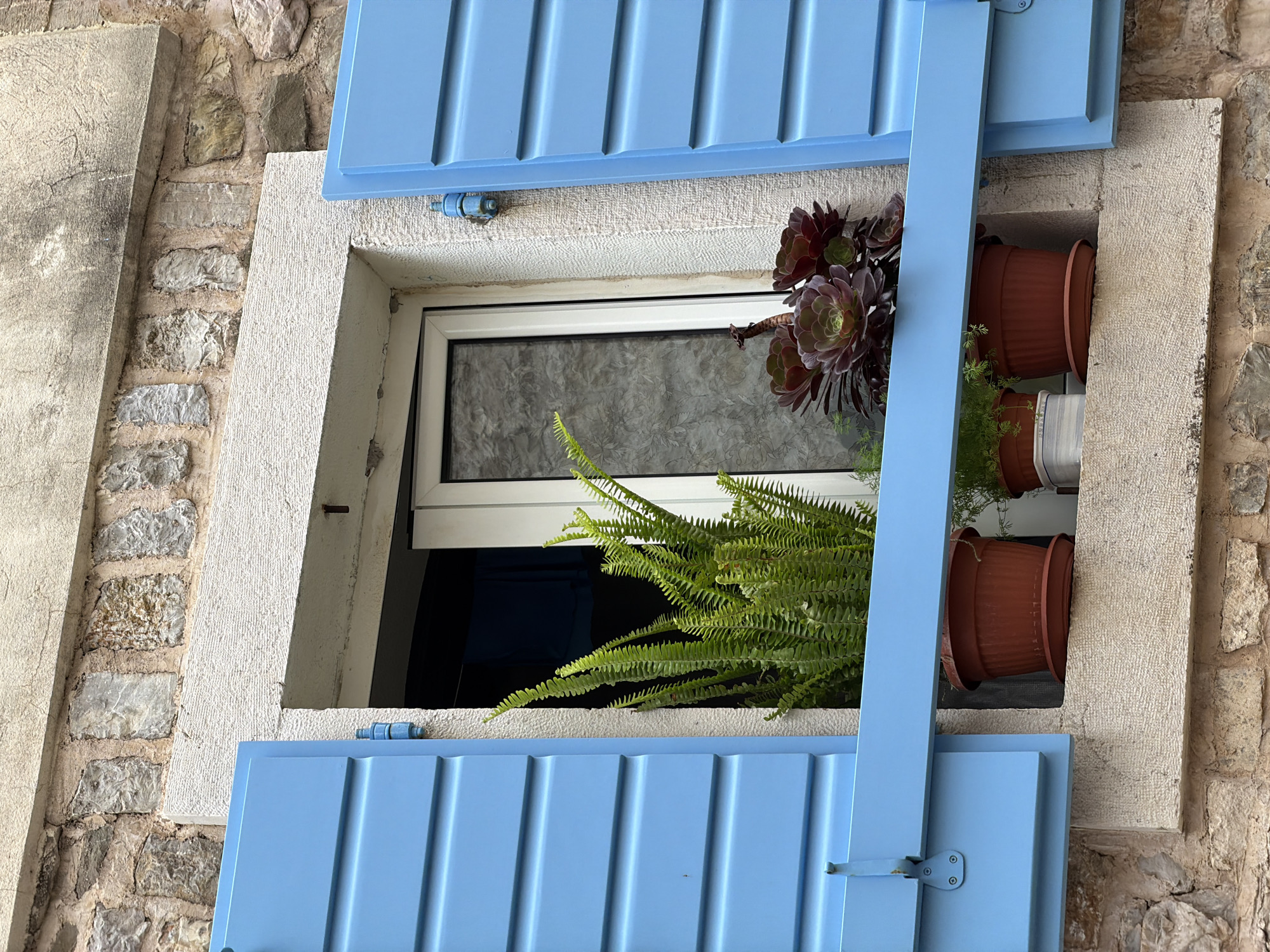 A close-up shot shows a window with light blue shutters partially covering the opening, set into a textured stone wall. Inside the window recess, several plants in terracotta pots are arranged on a shelf or ledge. A fern is prominently visible in the foreground, with a darker, rosette-shaped succulent behind it. The window itself has a white frame, and the interior is obscured by reflections or darkness. The overall scene suggests a residential setting, and given the reference to Budva, Montenegro, it likely depicts a traditional or older building in that city.