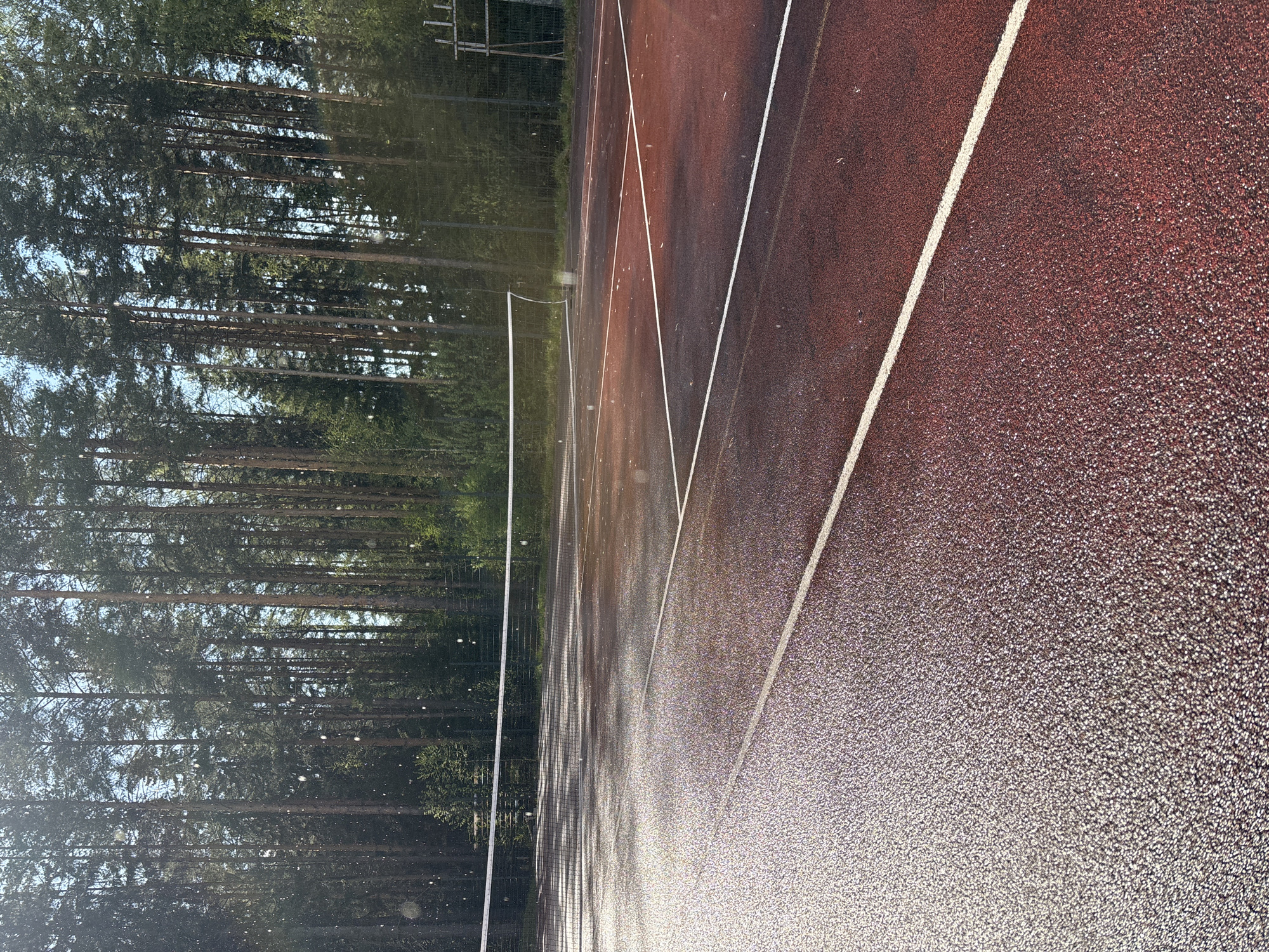 The image depicts a tennis court located near a forest in Прикамский, Russia. The court surface is a textured reddish-brown with white lines marking boundaries. A net divides the court in the middle. The court appears wet, possibly due to recent rain. The background is dominated by tall pine trees bordering the court. A fence is visible behind the trees. The sun appears to be shining, creating highlights on the wet surface. No people are visible in the image.