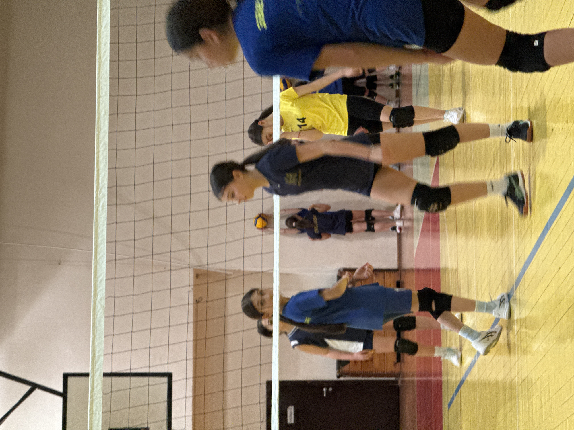 An indoor gymnasium in Sofia, Bulgaria, hosts a volleyball activity. A white volleyball net spans the mid-ground, separating two groups of young female athletes. Approximately eight individuals, appearing to be teenagers, are present on the glossy yellow court marked with red and blue lines. All participants wear athletic attire, including t-shirts, shorts, black knee pads, and athletic footwear. Visible shirt colors include shades of blue, yellow, and a dark blue/white combination. One player in a yellow shirt displays the number '14' on her back. Subjects are positioned on both sides of the net; some are in motion, while others stand ready. In the far background, a player in a dark blue shirt holds a yellow and blue volleyball against a light-colored wall. A dark brown door is visible on the left wall, and the upper portion of a basketball backboard structure is present above the net on the left.