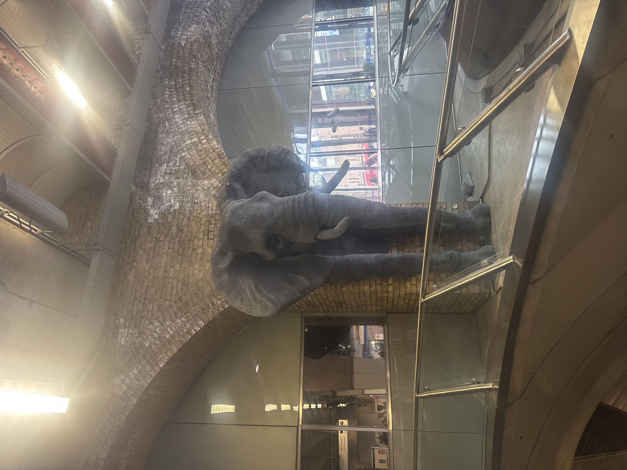 The image captures a view inside the Elephant & Castle tube station in London, United Kingdom. A sculpture of an elephant, seemingly made of wire or mesh, is prominently featured. The background shows a brick archway, which is characteristic of London Underground stations, and modern glass and steel structures, potentially part of the station's refurbishment or expansion. Reflections on the glass surfaces indicate activity beyond what is directly visible in the frame, suggesting the presence of people and urban scenes outside the station. The lighting appears to be a mix of natural light coming through the glass and artificial light illuminating the station's interior.