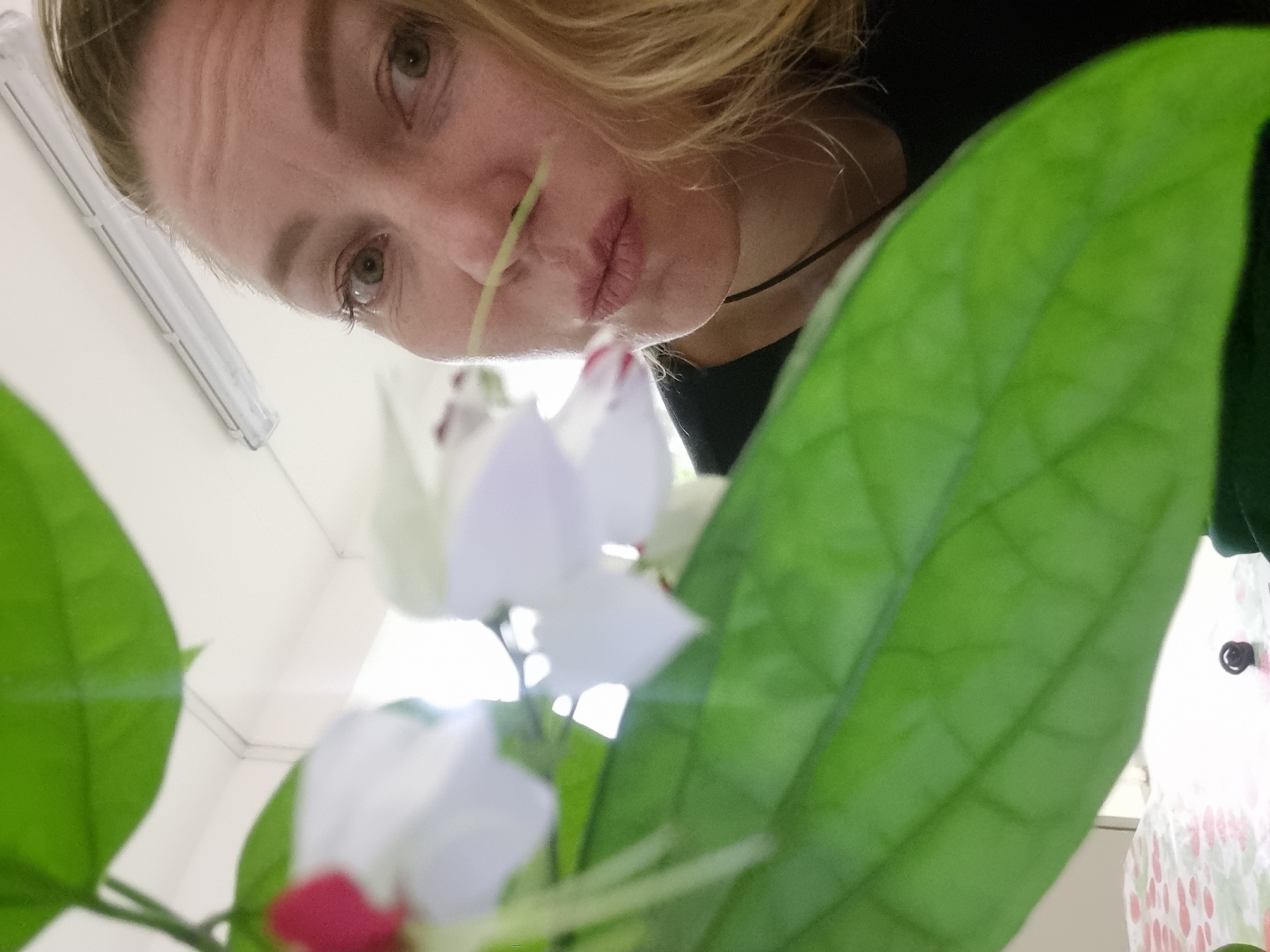 A woman with blonde hair and fair skin looks down at the camera, with a plant between her and the camera. The plant has large green leaves and white flowers with red centers. The scene appears to be indoors. There is no evidence to suggest that the image was taken in Kemul, Russia.