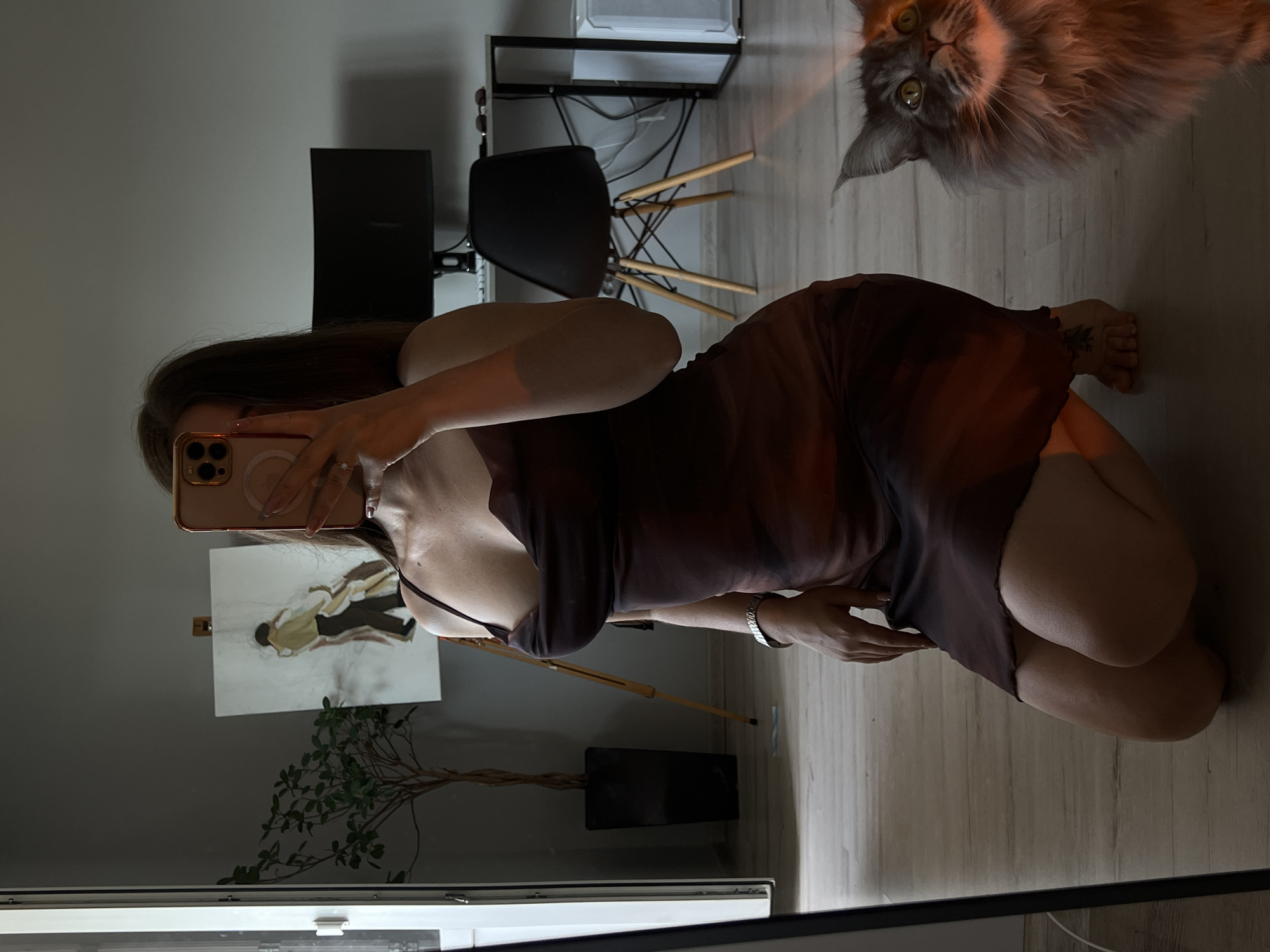 A woman is kneeling on a wooden floor, taking a mirror selfie with her phone. She is wearing a dark, semi-sheer slip dress and a silver watch. To her right, a large, fluffy gray cat looks up and to the right. In the background, there is an easel with a painting, a potted plant, a desk with a computer monitor, and a chair. The scene appears to be indoors, possibly an apartment or studio, and is lit with a mix of ambient light and a strong artificial light source casting a warm glow. No specific indicators of the city of Ternopil, Ukraine are present in the image.