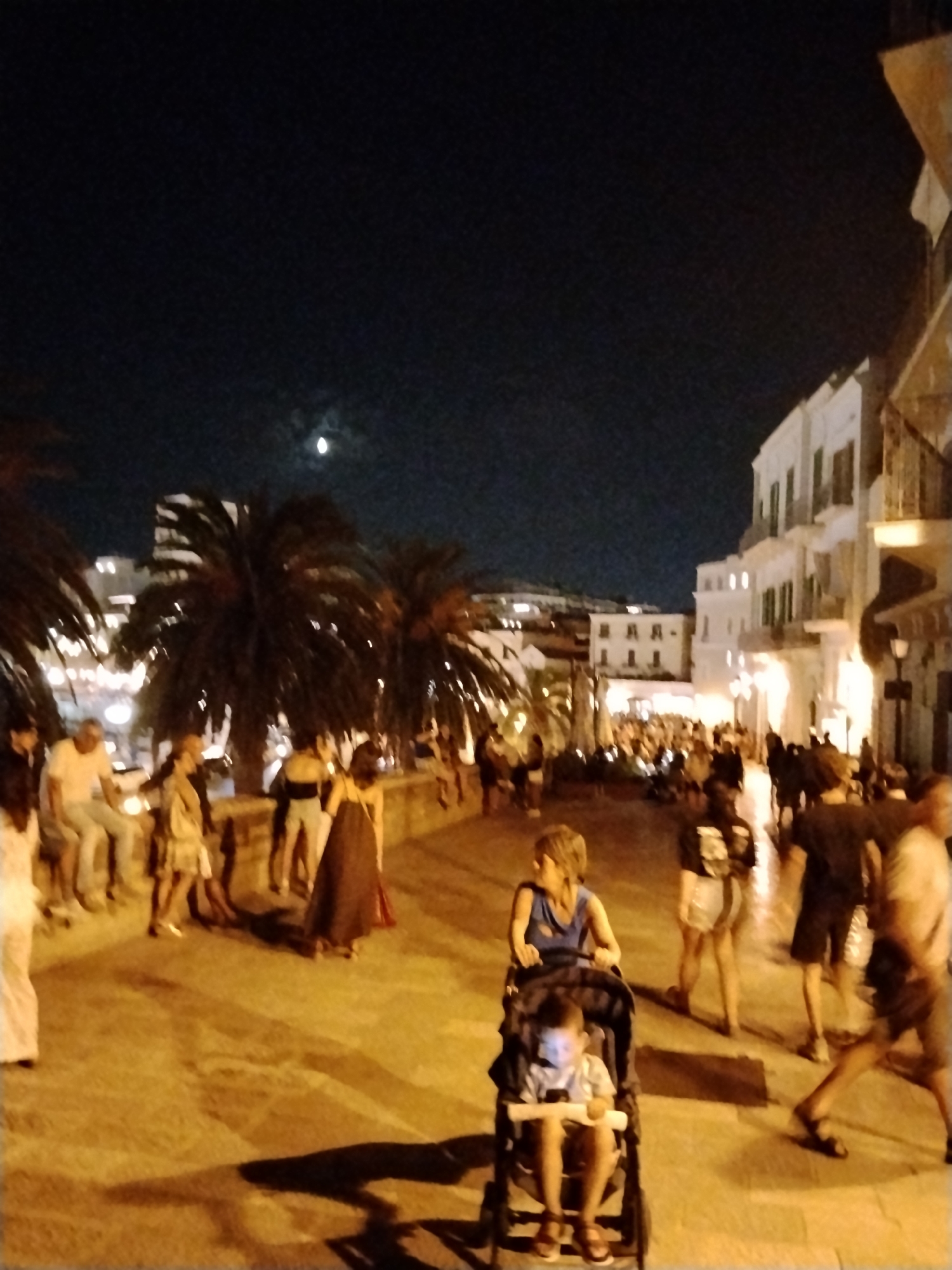 The image depicts a nighttime scene in a Mediterranean city, likely Bari, Italy, given the architectural style of the buildings and the presence of palm trees. The lighting suggests an urban promenade or street, illuminated by streetlights and ambient light from buildings.
In the foreground, a woman pushes a stroller with a young child inside, who appears to be looking at a tablet. The woman is wearing a blue top and dark shorts. The child is wearing a light-colored shirt and shorts.
Further back, a group of people are gathered, some sitting on a low wall and others standing and walking. A woman in a long, dark dress is walking towards the right side of the image. Another woman in a light-colored dress is visible near the wall. Several men are also present, one appearing to be wearing a light-colored t-shirt and another in a darker shirt.
The background features multi-story buildings with balconies and windows, characteristic of European architecture. Palm trees are interspersed throughout the scene, adding to the Mediterranean atmosphere. The sky is dark, with a bright moon visible, suggesting it is a clear night. Shadows are cast on the ground, indicating multiple light sources. The overall impression is of a lively evening gathering in a public space.