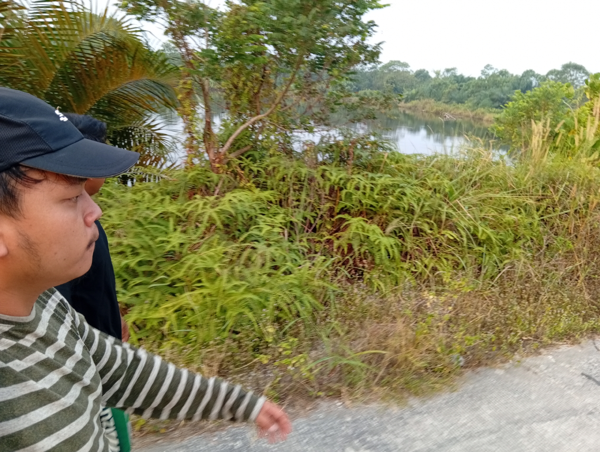 The image shows a person wearing a black baseball cap and a striped long-sleeved shirt. They are looking to their right, with their face partially visible. The person is standing on a paved surface, possibly a road or pathway, with lush green vegetation to their right. In the background, there is a body of water, likely a lake or river, surrounded by trees and more vegetation. The overall scene appears to be a natural outdoor environment, possibly a park or a rural area in or around Kualu, Indonesia, given the presence of palm-like fronds on the left. The lighting suggests it is daytime, with an overcast sky. The image is slightly motion-blurred, indicating movement.