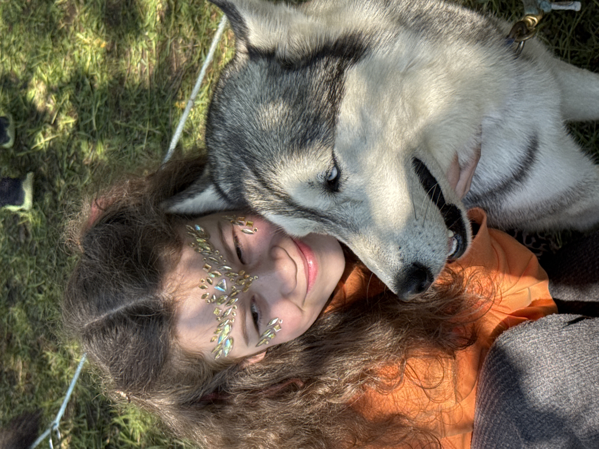A husky dog lies on top of a smiling young girl with wavy brown hair and face jewels. They are on grass. The dog wears a leash. The girl wears an orange shirt and is partially covered by a gray sweater. The location is Vsevolozhsk, Russia.