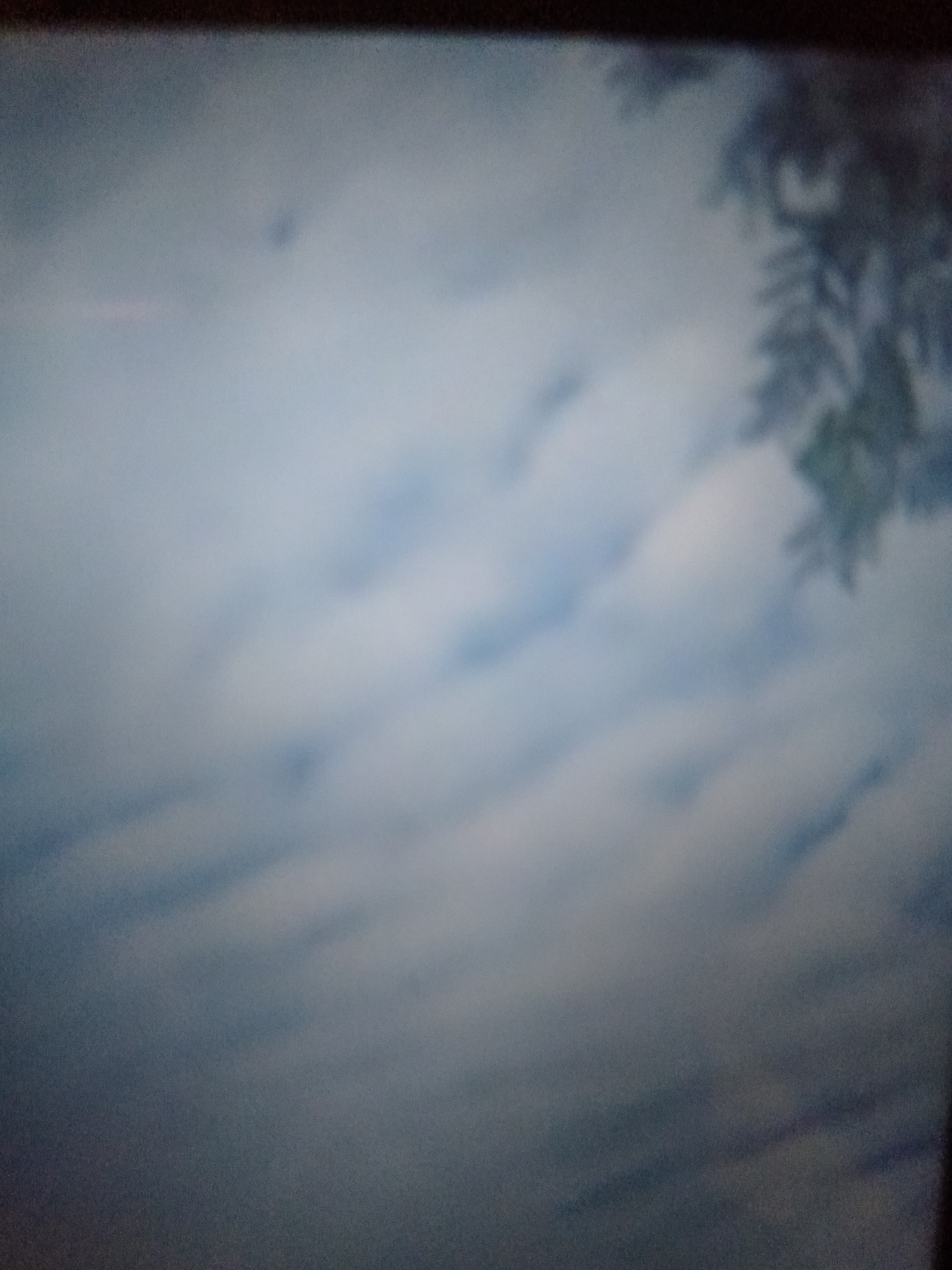 This is a low-resolution, slightly out-of-focus photograph that appears to be taken on a screen or monitor, indicated by the dark bezel at the top and bottom edges. The primary subject is a sky filled with streaky, wavy clouds. The color palette is predominantly muted blues and grays, suggesting an overcast or twilight sky. In the upper right quadrant of the image, the dark, indistinct branches of a tree or foliage are visible, suggesting the photo might have been taken outdoors, possibly looking upwards through trees. There are no people, objects, or discernible text within the frame. The overall impression is a serene, perhaps slightly melancholic, view of the sky. The lighting is dim and diffused. Given the location context of Jalingo, Nigeria, this could be a representation of the sky above the city.