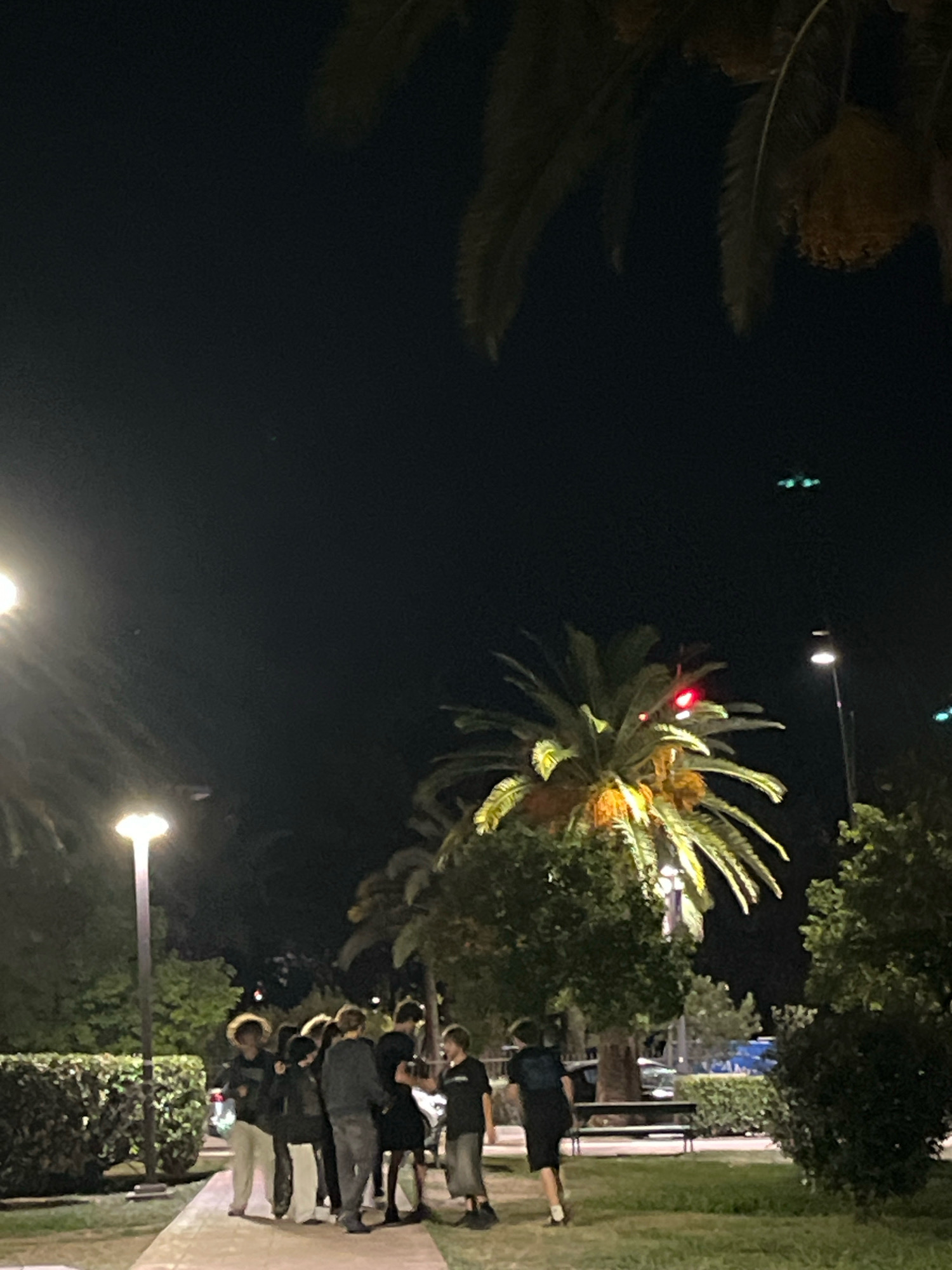 This is a nighttime photograph taken in the city of Budva, Montenegro. The scene depicts a group of young people gathered on a paved walkway next to a grassy area. Several palm trees are visible, with one large palm tree in the center-right of the frame illuminated by a light source, showing red and yellow hues. Streetlights are also present, casting a warm glow on the walkway and the surrounding foliage. In the background, there are more trees and some distant lights, suggesting an urban or park setting. A few small, distant lights are visible in the dark sky, which could be aircraft or other aerial phenomena. The people are casually dressed and appear to be interacting with each other.