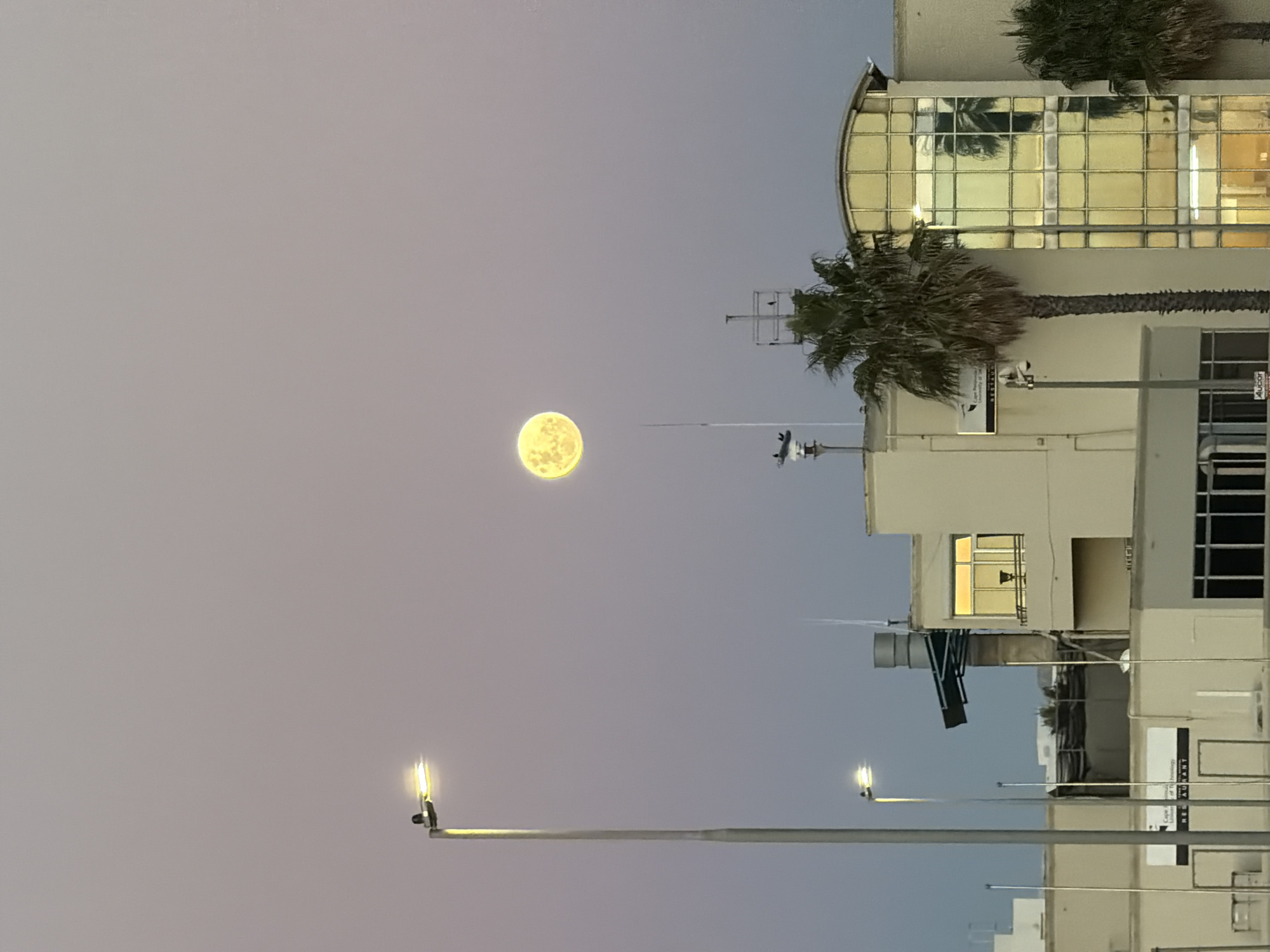 The image depicts a full moon above buildings in Cape Town, South Africa. The moon is centrally positioned in the upper portion of the frame. Below the moon are multi-story buildings with palm trees adjacent to the structures. Streetlights are visible in the lower portion of the image. The sky transitions from a pale grey near the moon to a darker blue-grey near the bottom of the frame. The architectural style of the buildings appears modern and commercial.