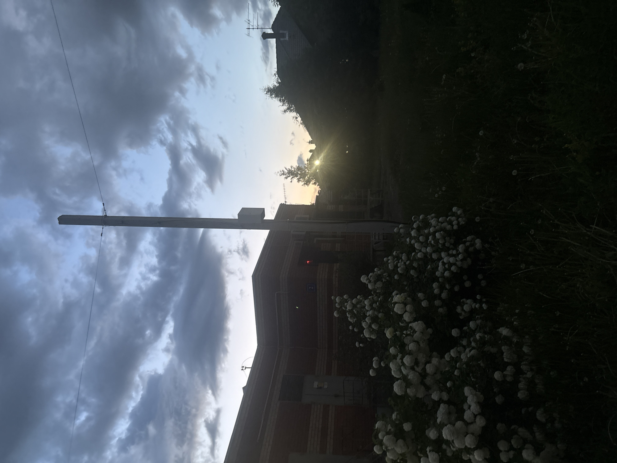 The image captures a rural or suburban landscape at either sunrise or sunset, dominated by a partially cloudy sky. Dramatic dark grey clouds are scattered across the upper and middle portions, interspersed with patches of lighter blue sky. The sun, a bright point of light, is positioned low in the distance, peeking through trees and behind a distant building, casting radiant rays and creating a lens flare effect.
In the midground, a tall, light-colored utility pole stands on the left, with a thin wire extending horizontally across the cloudy expanse. Below the pole, a brick building with contrasting lighter bands is visible. This building features an external unit, possibly an HVAC component or electrical box, and a small blue sign, which appears to be a disabled access symbol. A small red light or indicator is also visible on its facade.
To the right, a lush bush adorned with numerous small, white, spherical flowers occupies a significant portion of the lower right quadrant, contrasting with other dark foliage and grass where some dandelion-like seed heads are scattered. In the background, beyond the trees, another building, likely a house, with a gabled roof and a chimney, is silhouetted against the bright sky. An antenna is mounted on its roof.
No human activity is depicted. The scene conveys a peaceful, calm, and slightly melancholic atmosphere due to the twilight lighting and cloud cover. No discernible text is visible on any objects. The location context provided is Ореховка, Russia.