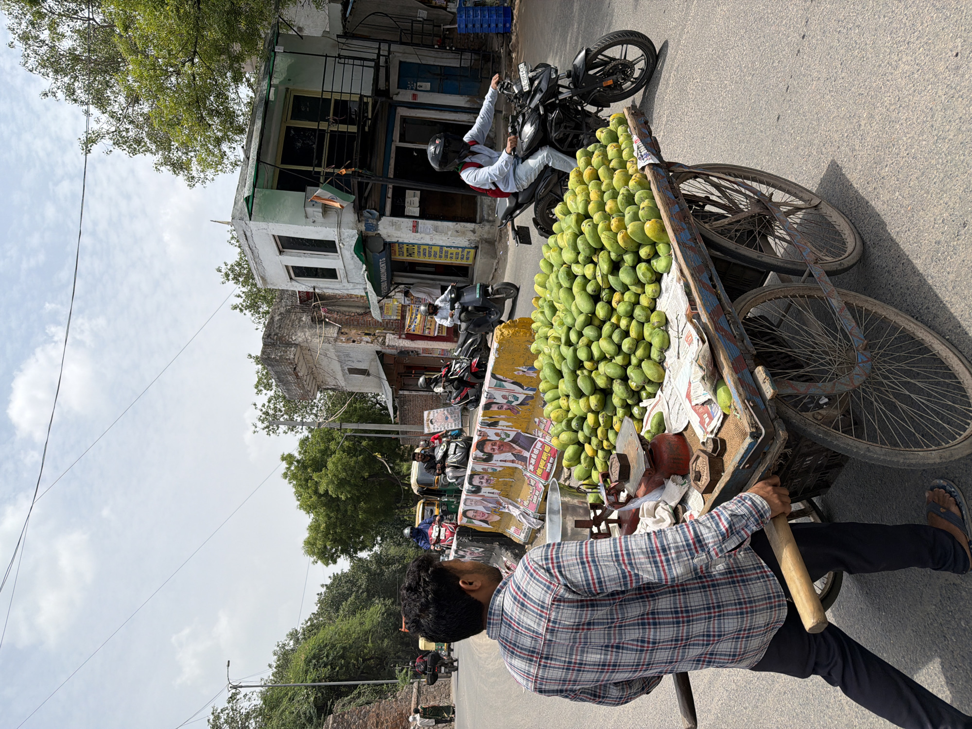 The image depicts a sunlit street scene in Delhi, India, characterized by urban activity and an informal vendor. In the foreground, a man, seen from the back and left side, is pushing a two-wheeled wooden cart. He wears a plaid shirt with red, blue, and white checks, dark pants, and sandals, gripping a wooden handle. The cart, painted with faded blue and red accents, is laden with a large pile of green, unripe mangoes, some resting on newspaper. A traditional red-based weighing scale with brass weights is positioned on the cart.
The asphalt road shows shadows consistent with a bright day. To the left of the cart, yellow concrete barriers are visible, adorned with multiple political posters featuring portraits of individuals and text primarily in Hindi. Beyond these barriers, a street with light traffic, including auto-rickshaws and scooters, extends into the distance. Lush green trees and foliage line the left side of the road, with a street light pole visible.
On the right side of the frame, a two-story white building with green trim features an Indian flag hanging from a small canopy or balcony. A sign on the building reads "FRIENDS MONUMENTS" and "PHOTO C." An external dark metal staircase is visible on the building's right side. Several motorcycles and scooters are present on the road; one motorcycle, ridden by a person wearing a black helmet and red backpack, is passing the mango cart. Another scooter is parked near the white building. The sky above is light blue with scattered white clouds, and multiple overhead power lines crisscross the upper portion of the frame.