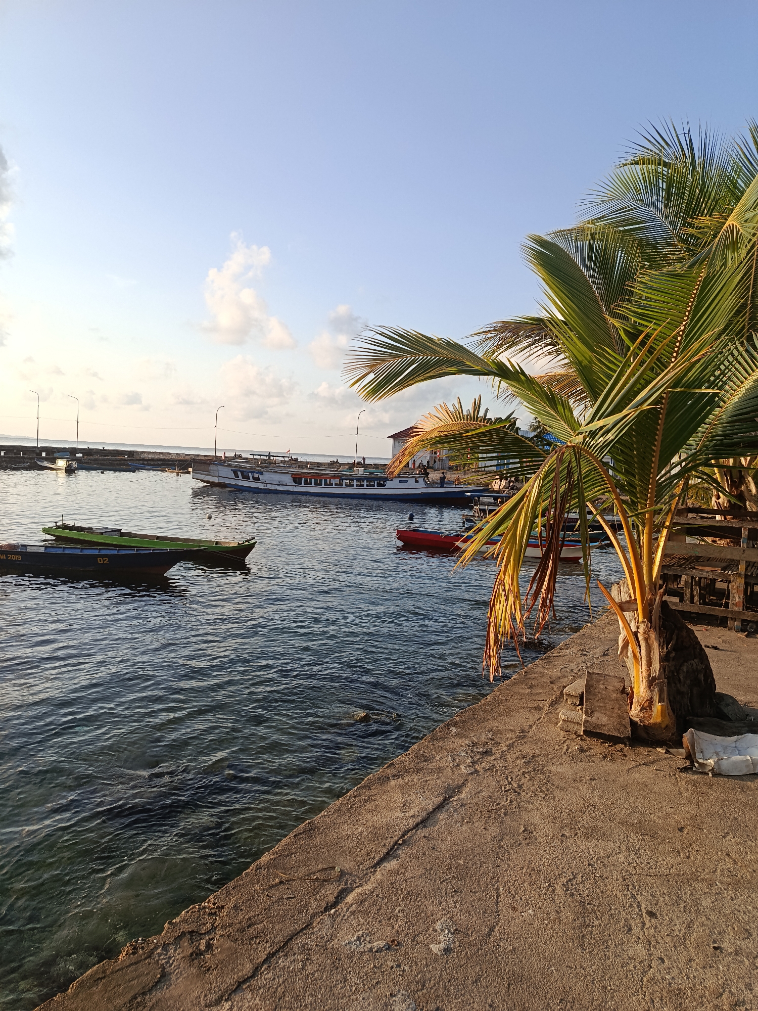 In Mansalean, Indonesia, a serene harbor scene unfolds under a clear blue sky. The foreground features a concrete pier with a vibrant palm tree, its fronds catching the warm afternoon sun. The water, calm and clear, reflects the sky and surrounding boats. Several small, narrow boats, some painted green and blue, are moored near the pier. In the middle ground, a larger white and blue passenger boat is anchored, with several people visible on its deck and along the pier. The background shows a long pier stretching into the distance, lined with lamp posts. The overall atmosphere is peaceful and idyllic, typical of a coastal Indonesian town.