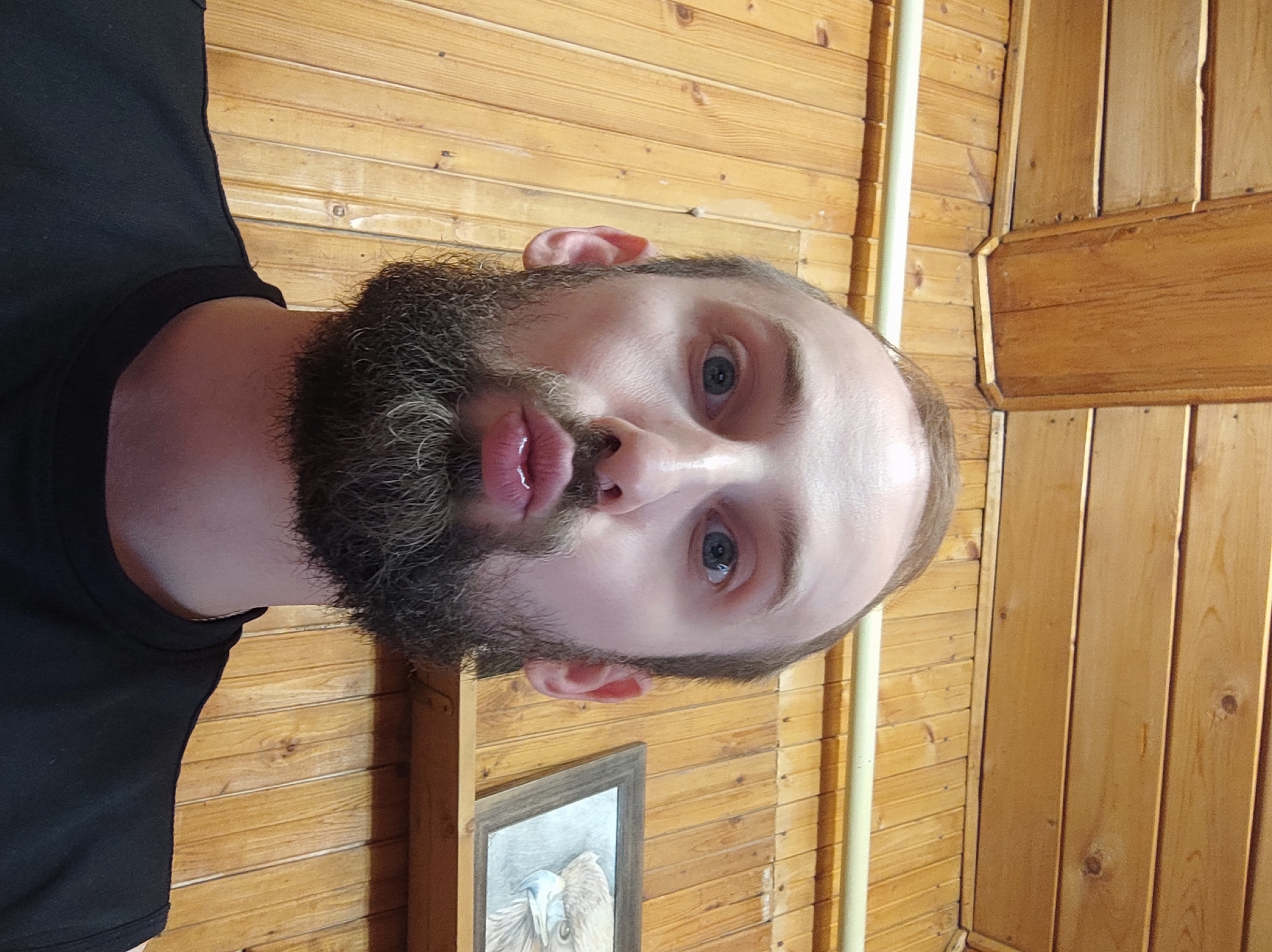 A close-up, selfie-style shot of a man with a full, grey-streaked beard and short hair, wearing a black t-shirt. He is looking directly at the camera. The background consists of wooden paneling, suggesting an interior space, possibly a sauna or a similar wood-lined room. A light-colored pipe runs vertically along the paneling. A framed picture hangs on the wall in the background. No evidence of location in the city of Kratovo, Russia.