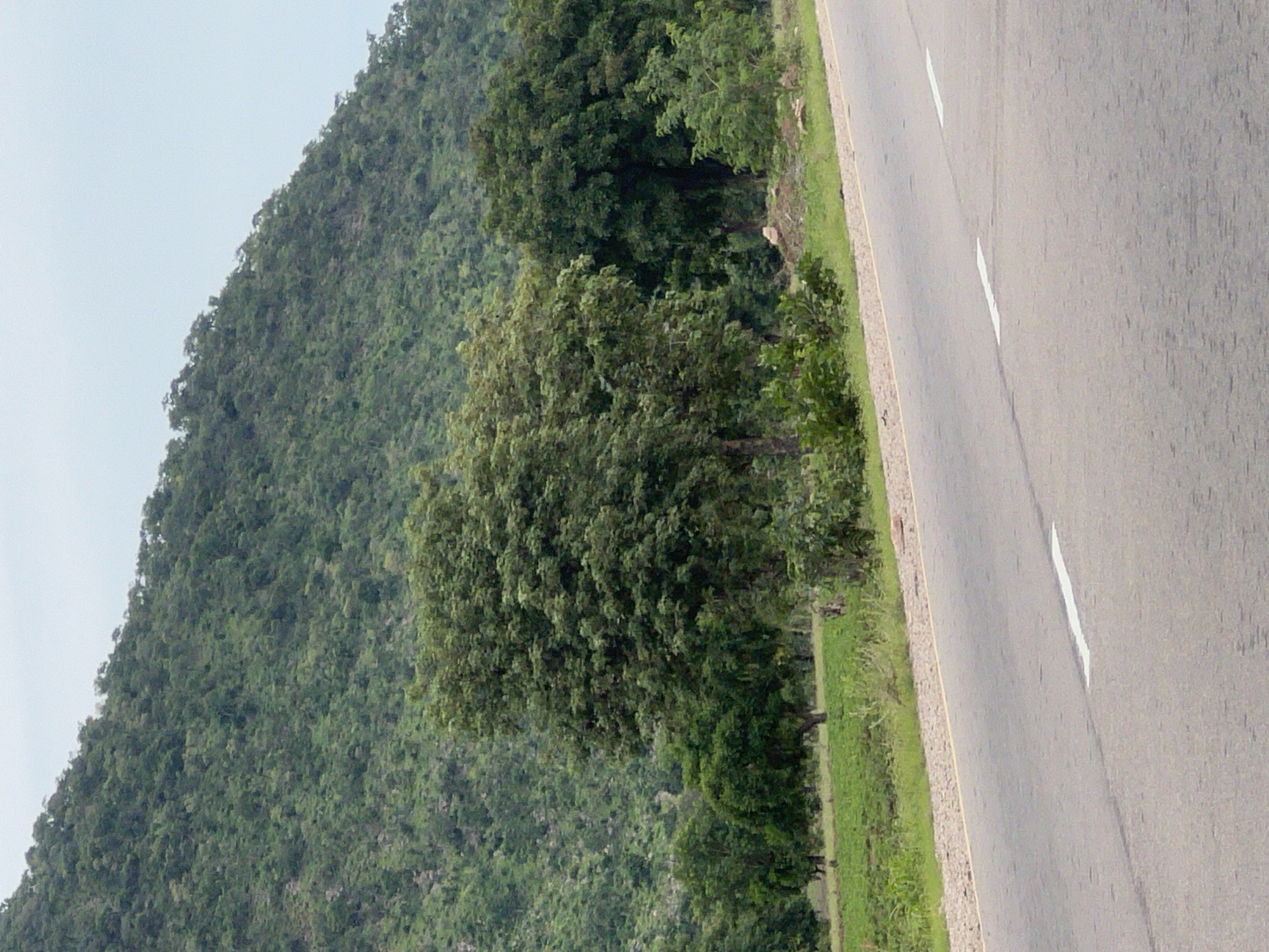 The image depicts a roadside scene with a paved road in the foreground, featuring white lane markings. To the left of the road is a cultivated field or pasture, bordered by a low embankment of gravel and vegetation. Beyond this, a line of trees of varying sizes and densities stands between the field and a large, verdant, tree-covered hillside that dominates the background. The sky is overcast and light gray. The location is identified as Minda, Nigeria.