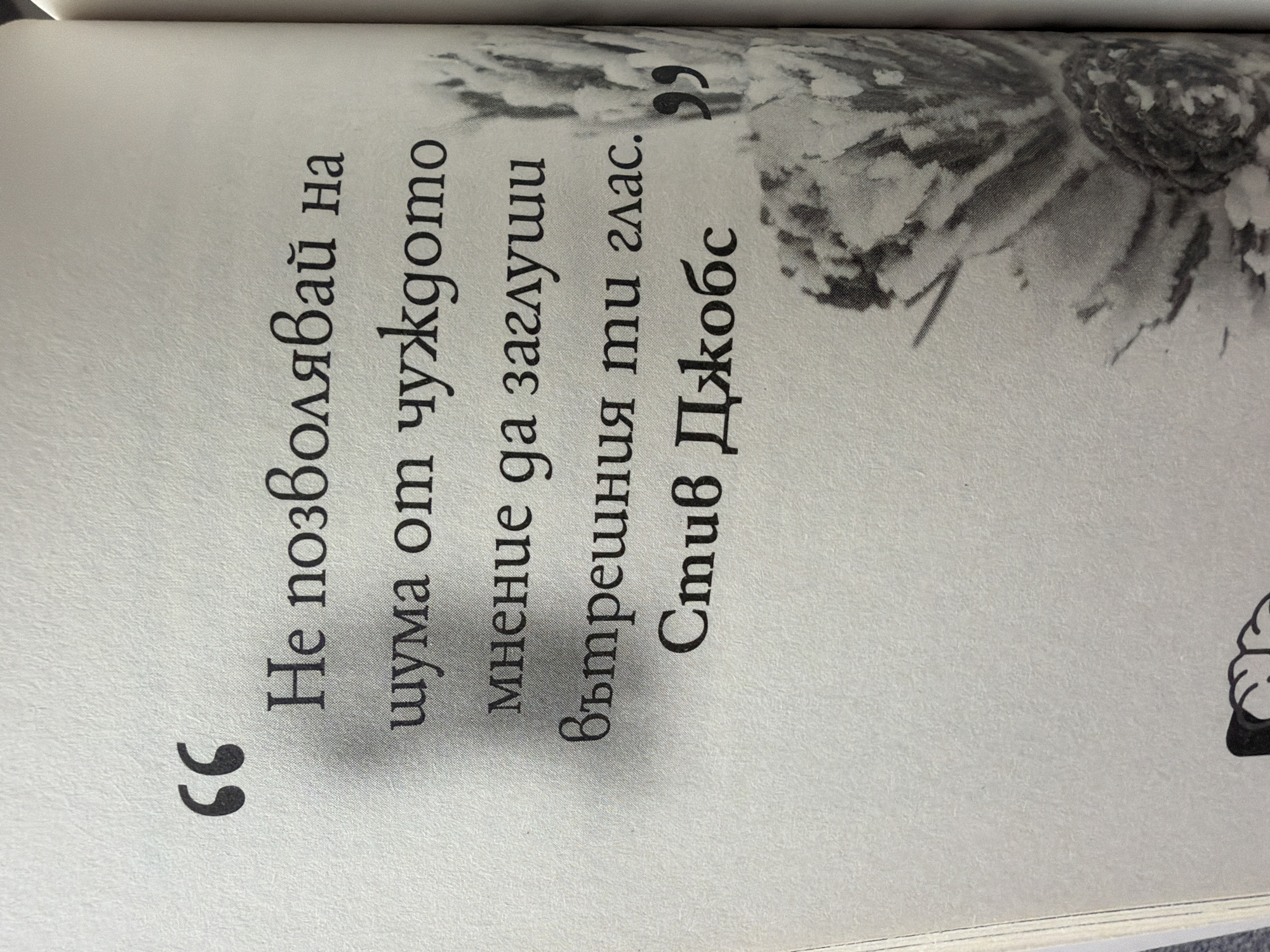 The image is a close-up of a page from a book, featuring a quote in Bulgarian. The quote is attributed to Steve Jobs. The text reads: "Не позволявай на шума от чуждото мнение да заглуши вътрешния ти глас. Стив Джобс." This translates to: "Don't let the noise of others' opinions drown out your own inner voice. Steve Jobs."
There are no discernible elements in the image that would place it in a specific city, including Pazardzhik, Bulgaria. The background appears to be a plain, textured paper, likely from a book. To the right of the text, there is a grayscale image of what appears to be a flower or a similar natural object, partially visible. The lighting suggests the book is open and the page is illuminated, possibly by ambient light. The overall impression is that of a personal or public space where someone is reading or has photographed a passage from a book.