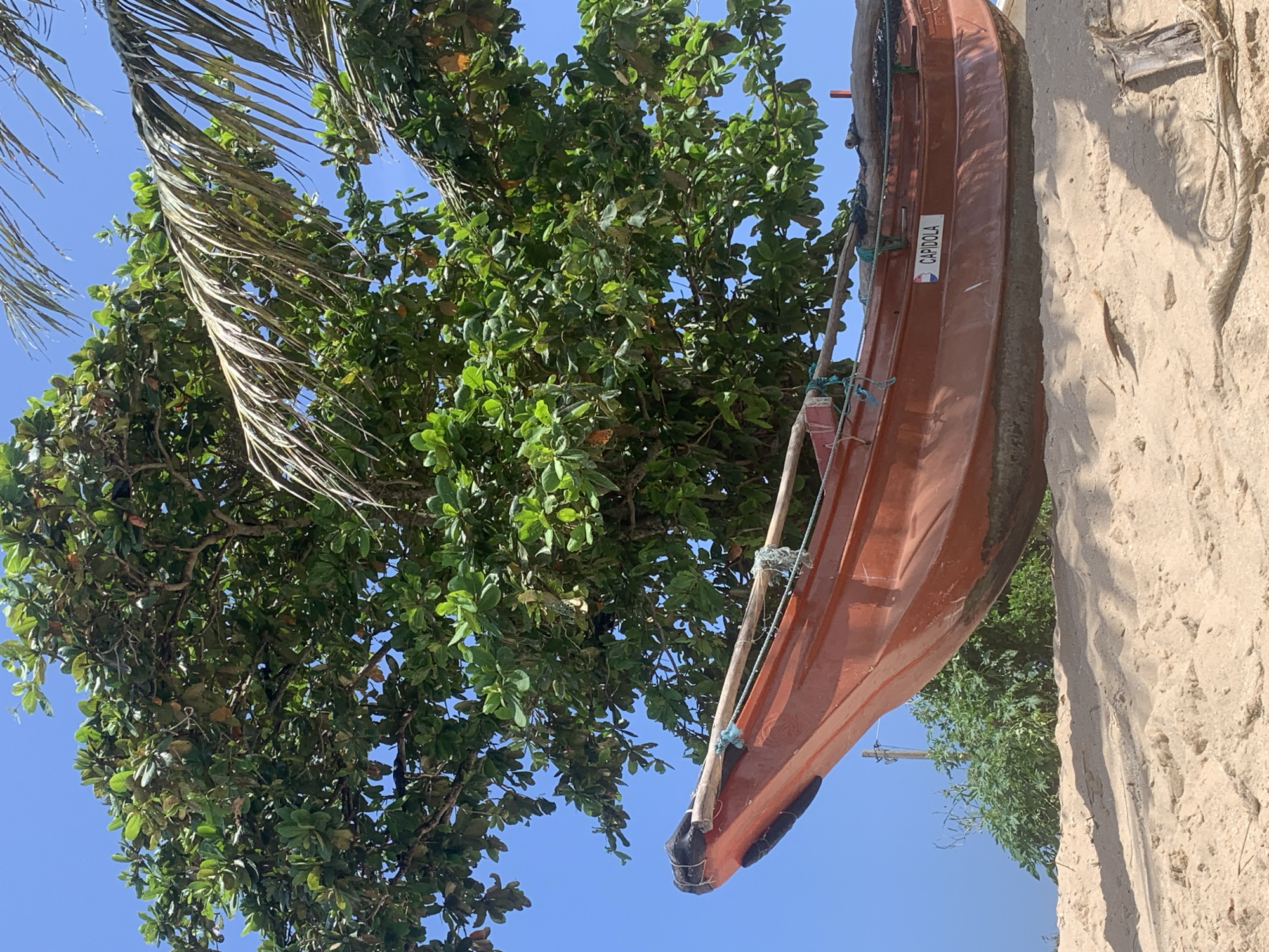 A bright orange fishing boat rests on a sandy beach in Mirissa, Sri Lanka. The boat's name, "CAPIDOLA," is visible in white lettering on its side. Above the boat, a lush green tree provides shade, with palm fronds extending into the clear blue sky. The sand is lightly textured with subtle shadows cast by the boat and surrounding foliage. In the background, some low-lying green bushes and a utility pole are visible. The scene is bathed in bright sunlight, indicating a daytime setting.
