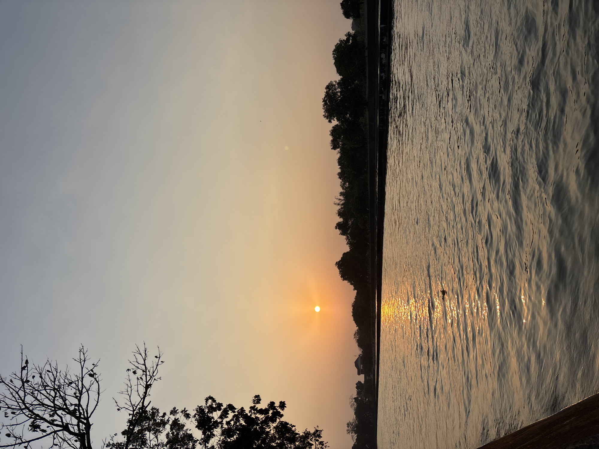 The image depicts a serene sunset over a body of water in Panyingkiran, Indonesia. A large, bare tree with silhouetted branches extends from the left side of the frame, its leaves sparsely scattered. The sun, a bright orange orb, is low in the sky, casting a golden glow across the water's surface, creating a shimmering reflection. In the distance, a line of dark trees forms the horizon, with a hint of buildings visible behind them. The sky transitions from a pale orange near the horizon to a soft blue higher up. The water appears calm, with gentle ripples. The overall atmosphere is peaceful and tranquil, characteristic of a sunset.