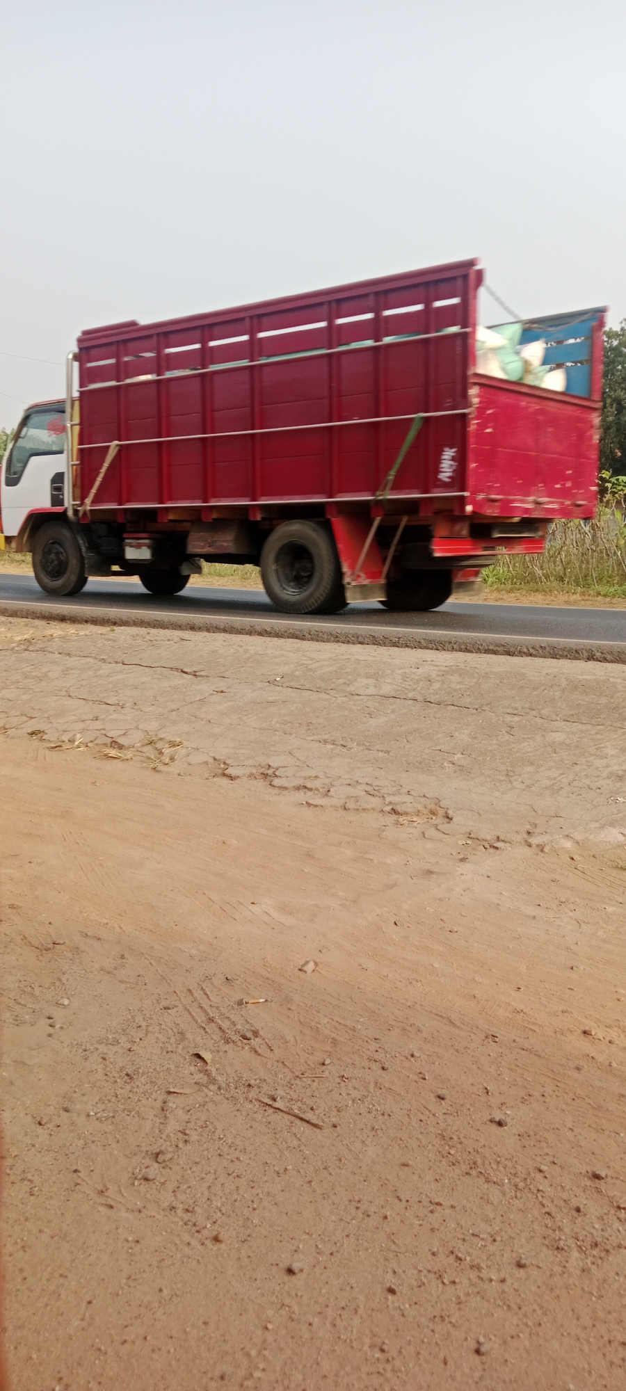 A side-view, medium-shot captures a dark red, flatbed truck traveling on an asphalt road in Gondang Rejo, Indonesia. The truck has a white cab and a long, red cargo bed with horizontal slats. The bed contains several light-colored sacks, some partially visible under a blue tarp. The truck's tires are black, and its wheels are dark. The foreground of the image shows a cracked, dusty dirt road with tire tracks, and faint impressions of dried grass. In the background, sparse vegetation and trees are visible against a hazy, pale sky. The scene appears to be during the daytime, under overcast or hazy conditions.