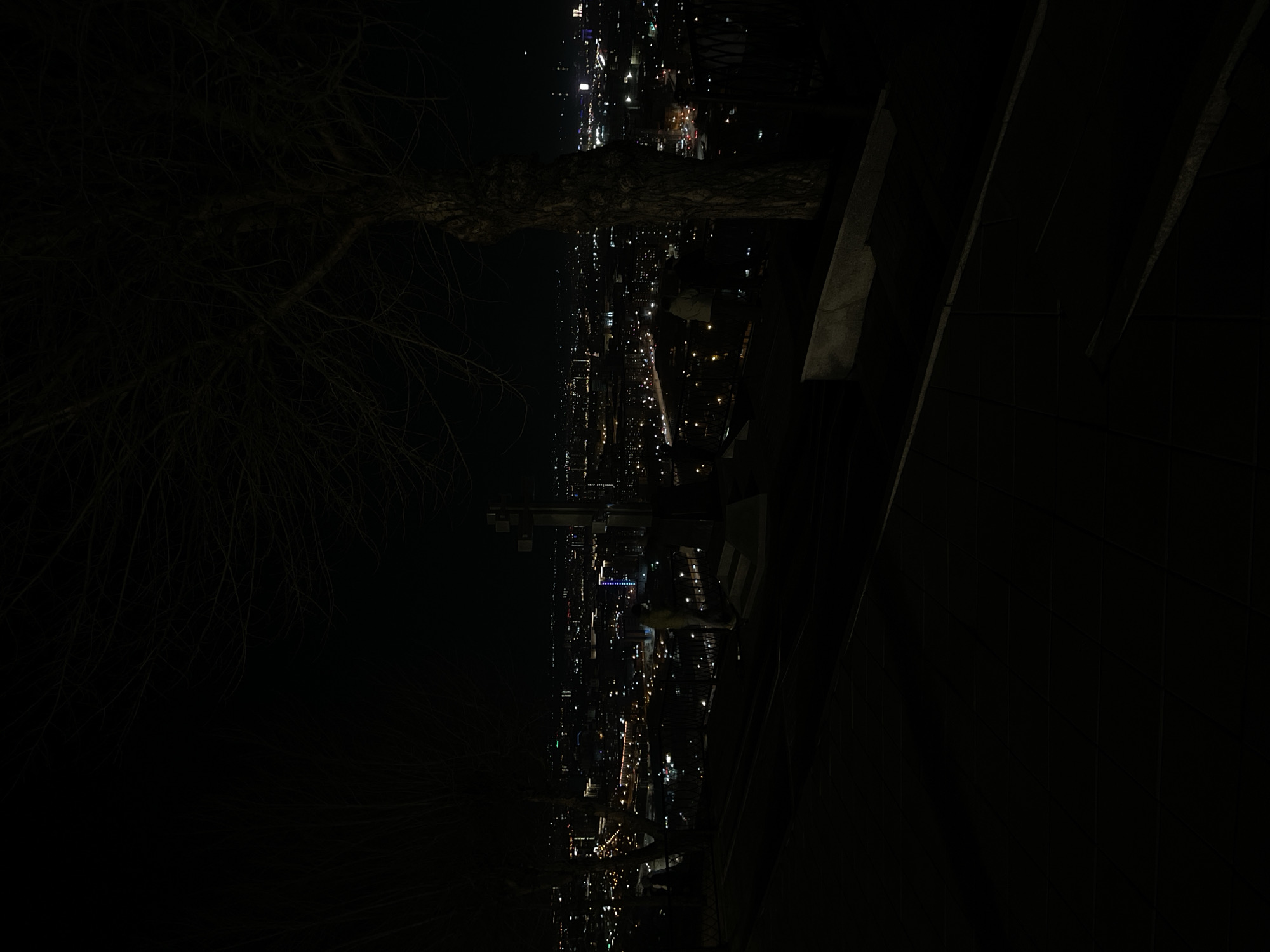 The image depicts a nighttime cityscape in Krasnoyarsk, Russia, viewed from an elevated perspective. The city lights illuminate streets and buildings, with a clear distinction between illuminated areas and darkness. In the foreground, there is a bare tree branch, and a railing/wall, potentially of a bridge or viewing platform. The lack of discernible people or specific events suggests the photo may have been taken from a relatively isolated location, focusing on the urban landscape itself.