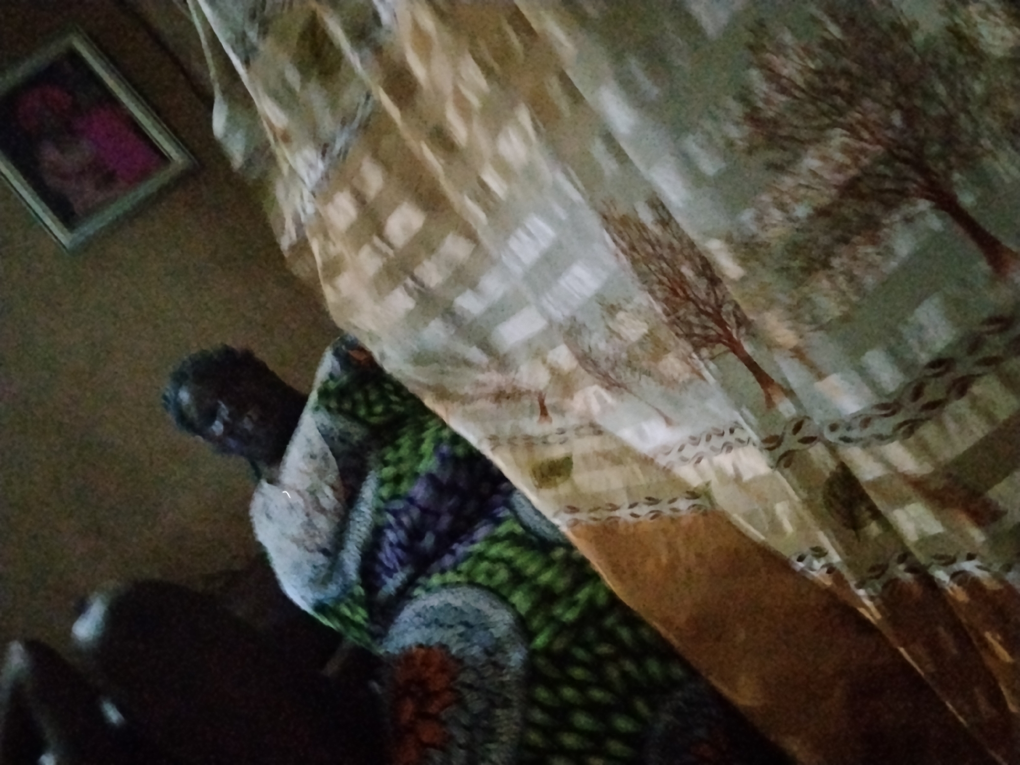 A dimly lit, slightly blurry interior scene appears to be in a residence in Shangisha, Nigeria. An individual is partially visible, wrapped in a green, purple, and brown patterned fabric. A patterned curtain dominates the foreground with a tree design. A framed picture hangs on the wall. The lighting suggests it might be dusk or a room with limited natural light.