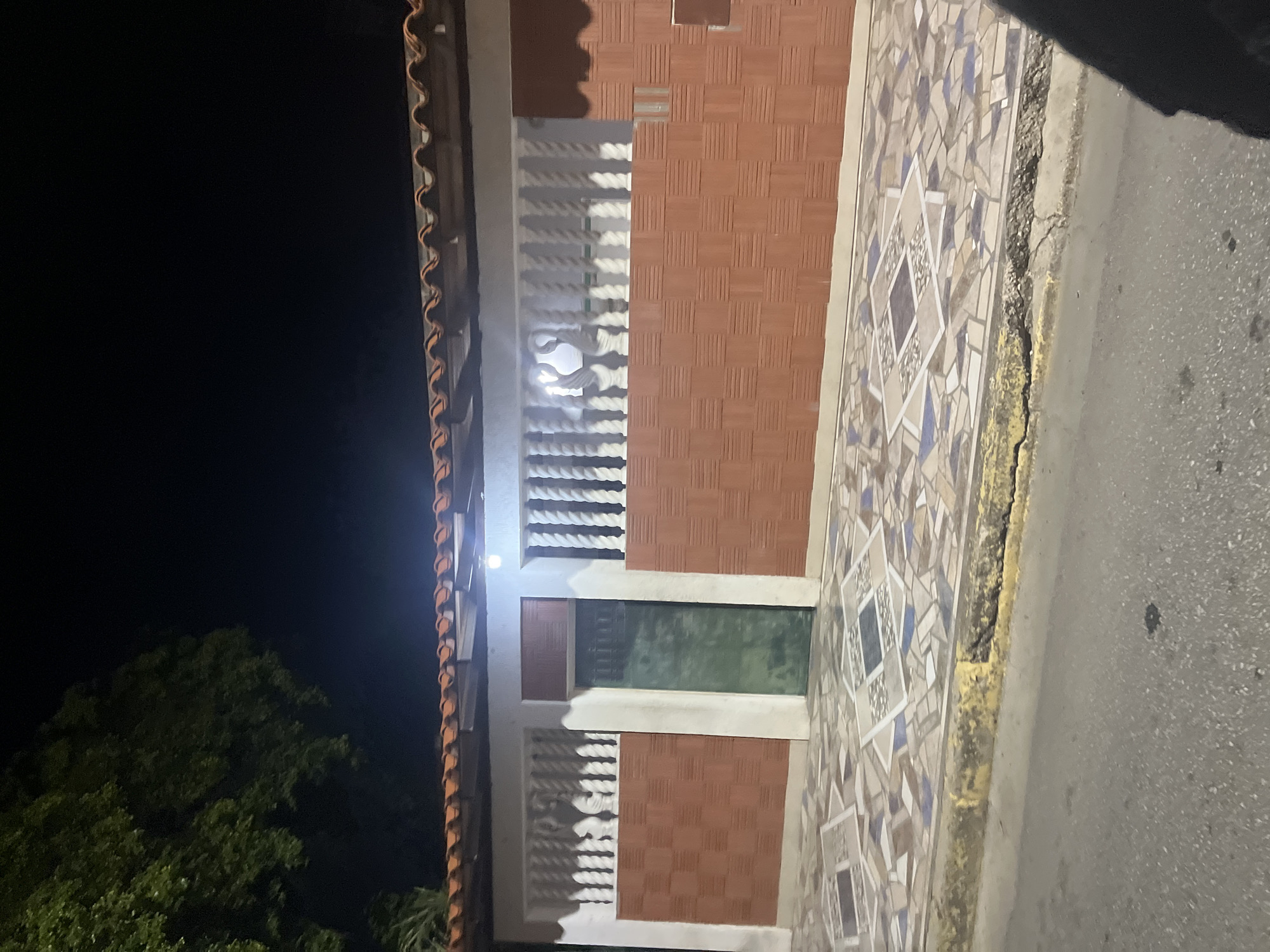 The image depicts a nighttime view of a house facade in Santa Ana, Venezuela. The house features a tiled roof, white walls, and sections of reddish-brown patterned tiles. There is a green metal door and decorative white balustrades with elaborate carvings. The ground in front of the house is paved with colorful, geometrically patterned tiles. A street with a cracked yellow curb is visible in the foreground. A large tree with dark green foliage is present on the left side of the image, partially obscuring the dark sky. The scene is illuminated by artificial light, casting shadows and highlighting the architectural details.