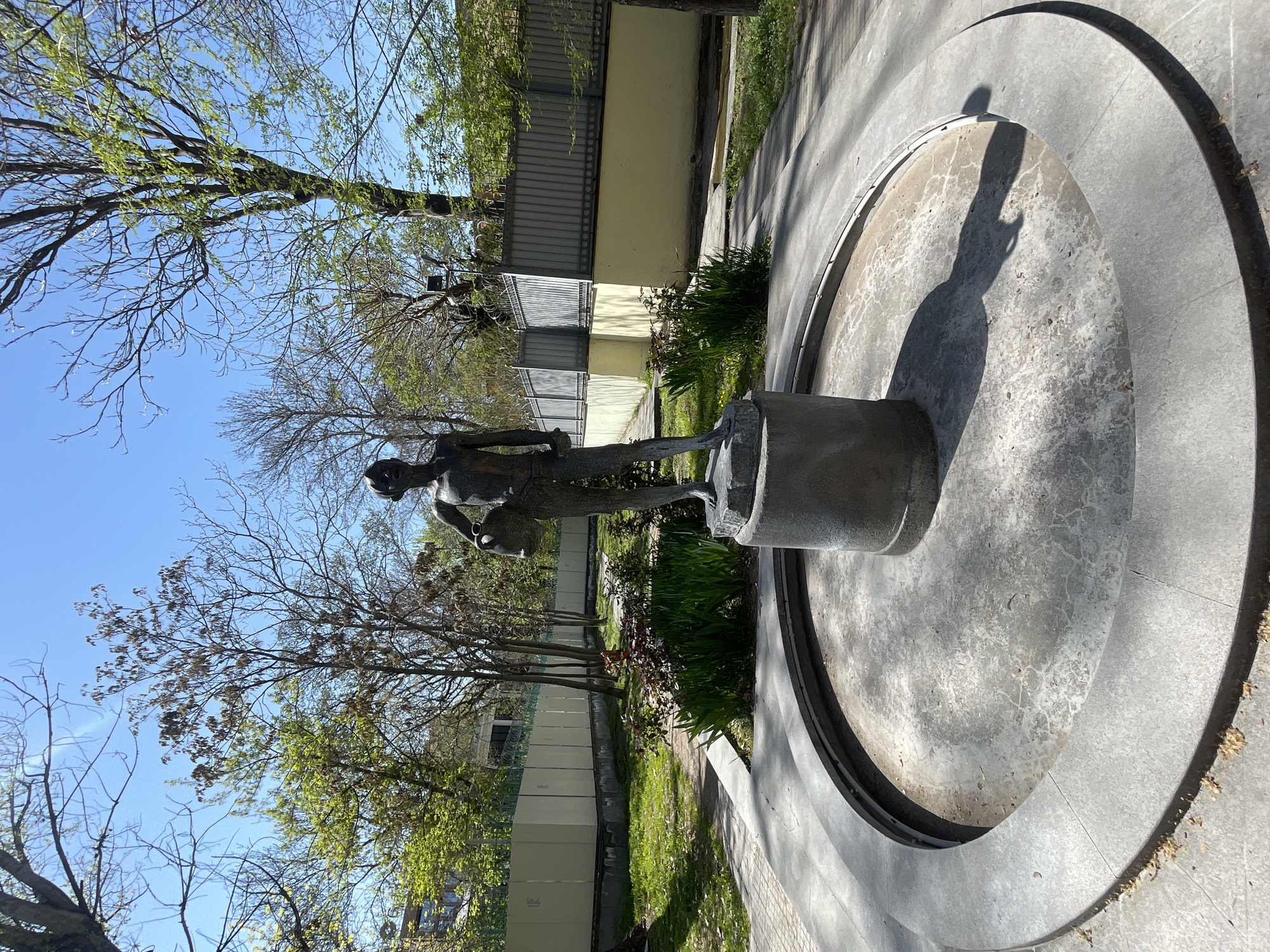 The image depicts a bronze sculpture situated in a public space in Yerevan, Armenia. The sculpture portrays a standing male figure, slender and upright, positioned on a cylindrical plinth within a dry, circular concrete fountain basin. The basin features concentric rings and exhibits signs of wear and minor cracking.
The scene is brightly illuminated by direct sunlight, casting a long, distinct shadow of the sculpture across the concrete interior of the fountain, suggesting it is either mid-morning or late afternoon. The sky overhead is clear and blue.
Surrounding the fountain are paved concrete walkways and patches of green grass interspersed with various plants and bushes. Deciduous trees flank the area; some are beginning to show new, light green leaves, indicative of early spring, while others remain largely bare. In the background, beyond the trees and a metal fence, a light yellow building is visible. There is no discernible activity taking place, only the static presence of the sculpture and its environment. No text is visible in the image.