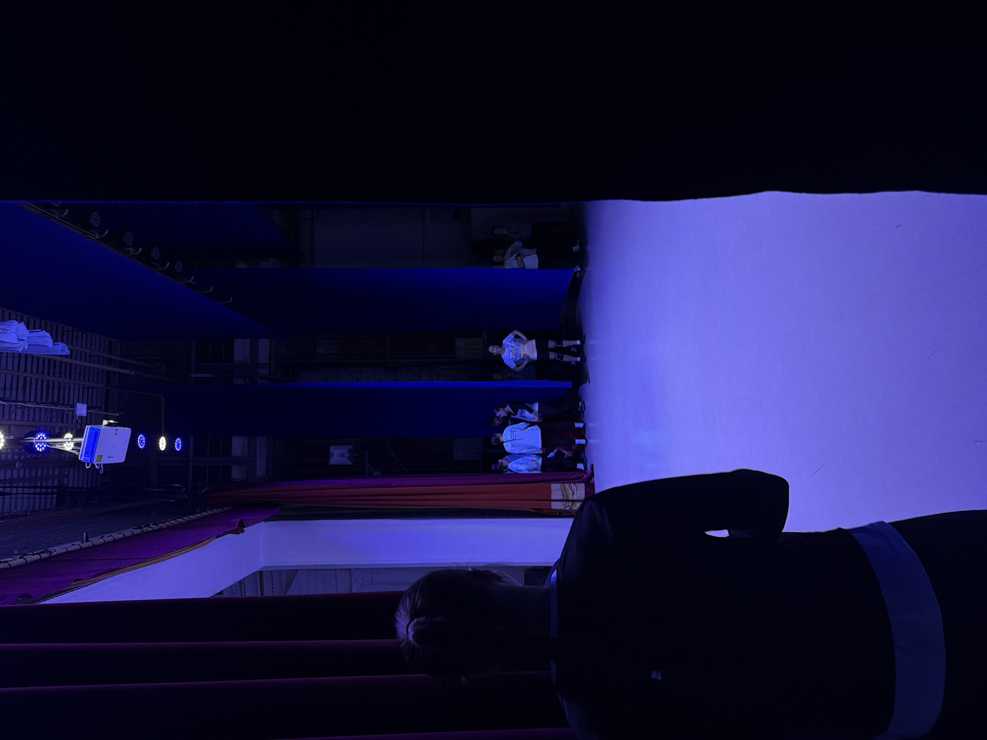 This image captures a theatrical scene inside a performance venue in Perm, Russia, viewed from a raised audience perspective looking down towards the stage. The setting is predominantly dark, illuminated by artificial blue and purple light on the stage area.
In the foreground, the back and head of a person, likely an audience member, are visible in silhouette, positioned over dark red upholstered seating. This person appears to be wearing a dark top, possibly with a light-colored band around the waist or neck.
The stage is the main subject, bathed in a vibrant blue-purple glow. A performer or dancer is prominently visible in the center of the stage, standing with hands on hips, wearing a light-colored t-shirt with a design, dark shorts, and knee pads. Further back on the stage, several other individuals are present, some standing, some in shadow, possibly fellow performers or stage crew.
The stage itself is framed by dark curtains, with sections of both red and blue fabric visible. Above the stage on the left, professional lighting equipment is mounted on scaffolding, including multiple LED spotlights and a white rectangular light unit, indicating a controlled stage environment. The activity suggests either a rehearsal or a live performance is taking place. There is no discernible text within the image.