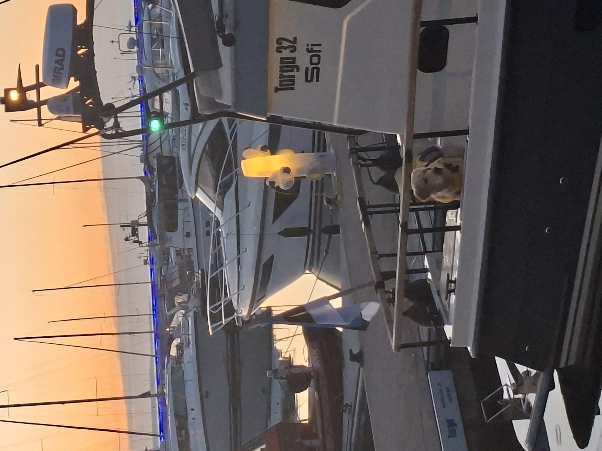 This image depicts a marina at dawn or dusk in Tallinn, Estonia, identifiable by the blue, black, and white Estonian flag positioned on a pole in the mid-ground. The sky displays an orange-pink gradient. In the foreground, the stern of a boat labeled "Targa 32 Sofi" is prominent, featuring a dark hull and a white superstructure with a wooden railing. A light-colored dog, possibly a golden retriever, wearing a yellow vest, is visible in the boat's cockpit, looking towards the left. The marina contains numerous other vessels, including sailboats with dark masts silhouetted against the sky and various motor yachts. Specific details include a radar dome marked "SIMRAD" atop one of the boats, a green navigation light illuminated on another, and several distant boats featuring distinctive blue accent lighting along their hull lines. A tall, illuminated, warm-toned object, possibly a decorative light fixture, is present on a boat in the mid-ground. A rescue boat partially labeled "SAR" is docked on the left. The water exhibits reflections of the ambient sky and artificial lights. No human figures are present in the scene.