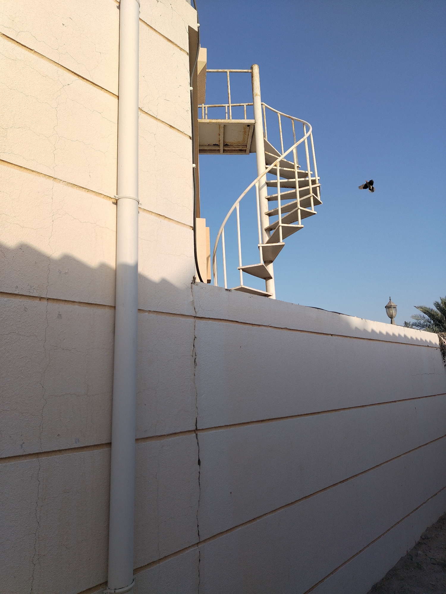 The image shows a two-story building in Al Mas'oudi, United Arab Emirates. The building has a textured off-white exterior. A white PVC pipe runs vertically along the exterior wall on the left side of the frame. A white spiral staircase is attached to the building's side, leading to the roof or an upper level. A wall partially obscures the building, stretching across the lower portion of the frame. A bird is captured in mid-flight against the clear blue sky in the background. A streetlight and palm tree are visible behind the wall on the right side of the image.