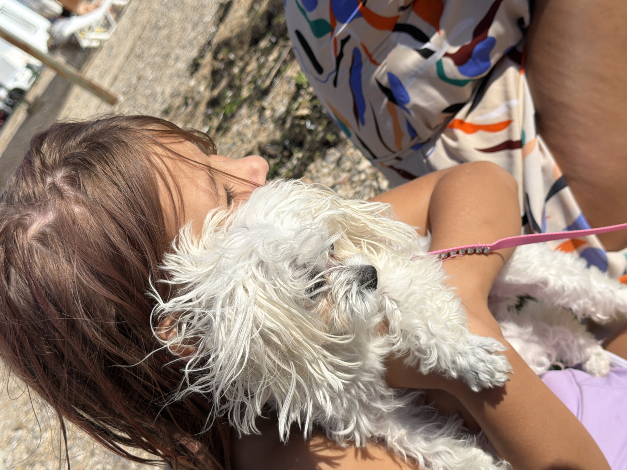 A young girl with brown hair holds a small, fluffy white dog. The dog is nestled in her arms, and its face is partially obscured by its fur. The girl is wearing a light purple garment, possibly a swimsuit or top, and the dog has a pink leash with rhinestones attached to it. She is also wearing colorful patterned shorts or pants. The background suggests an outdoor environment, possibly a beach or park, with gravelly ground and some blurred structures and foliage visible. Sunlight is present, casting shadows and highlighting the textures of the hair and fur.
